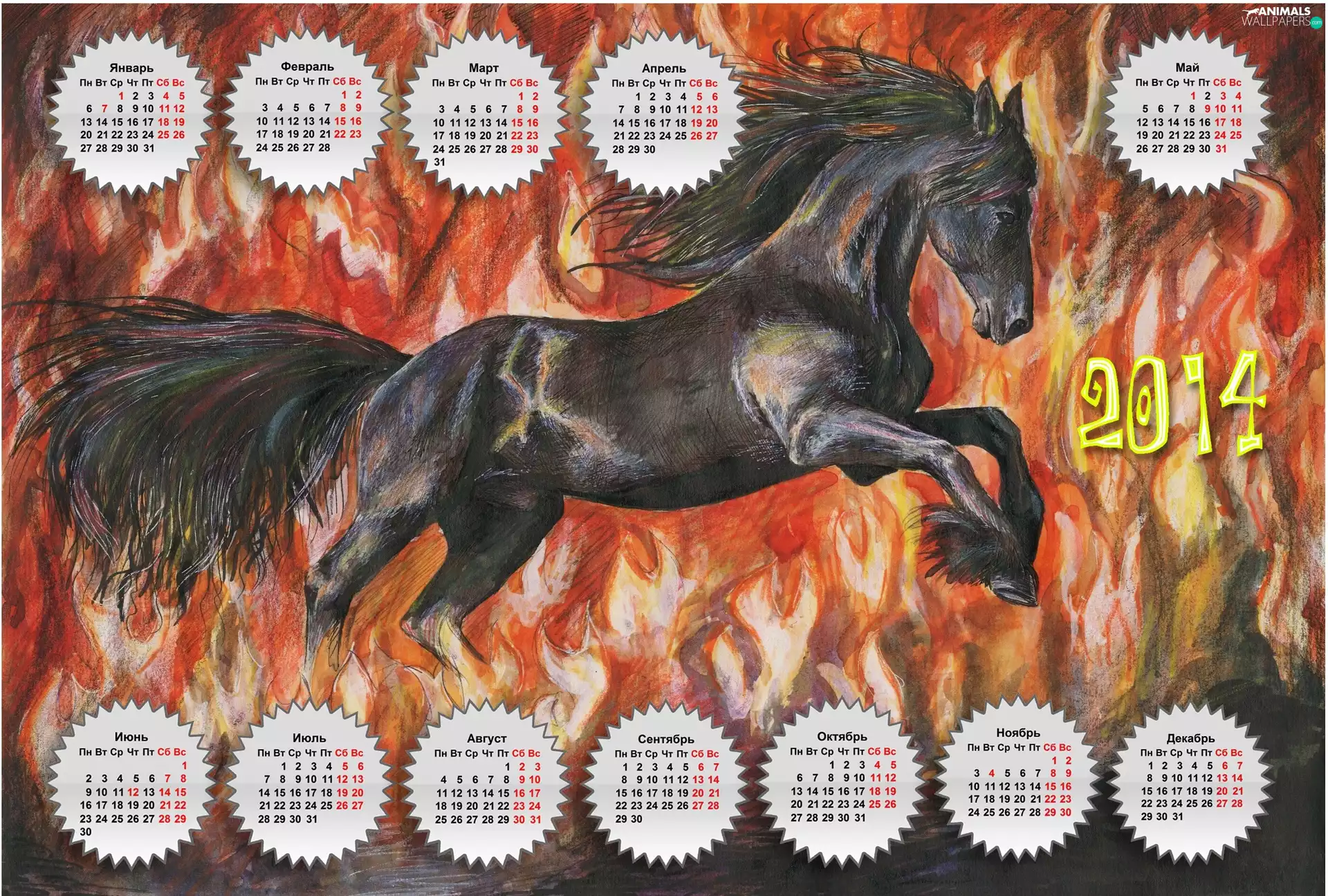 Horse, Calendar, 2014