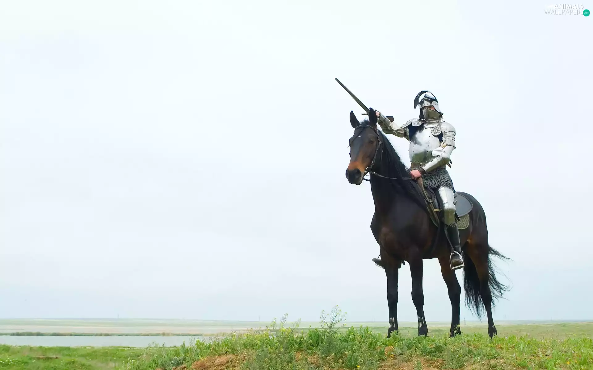 Horse, Knight, Armor