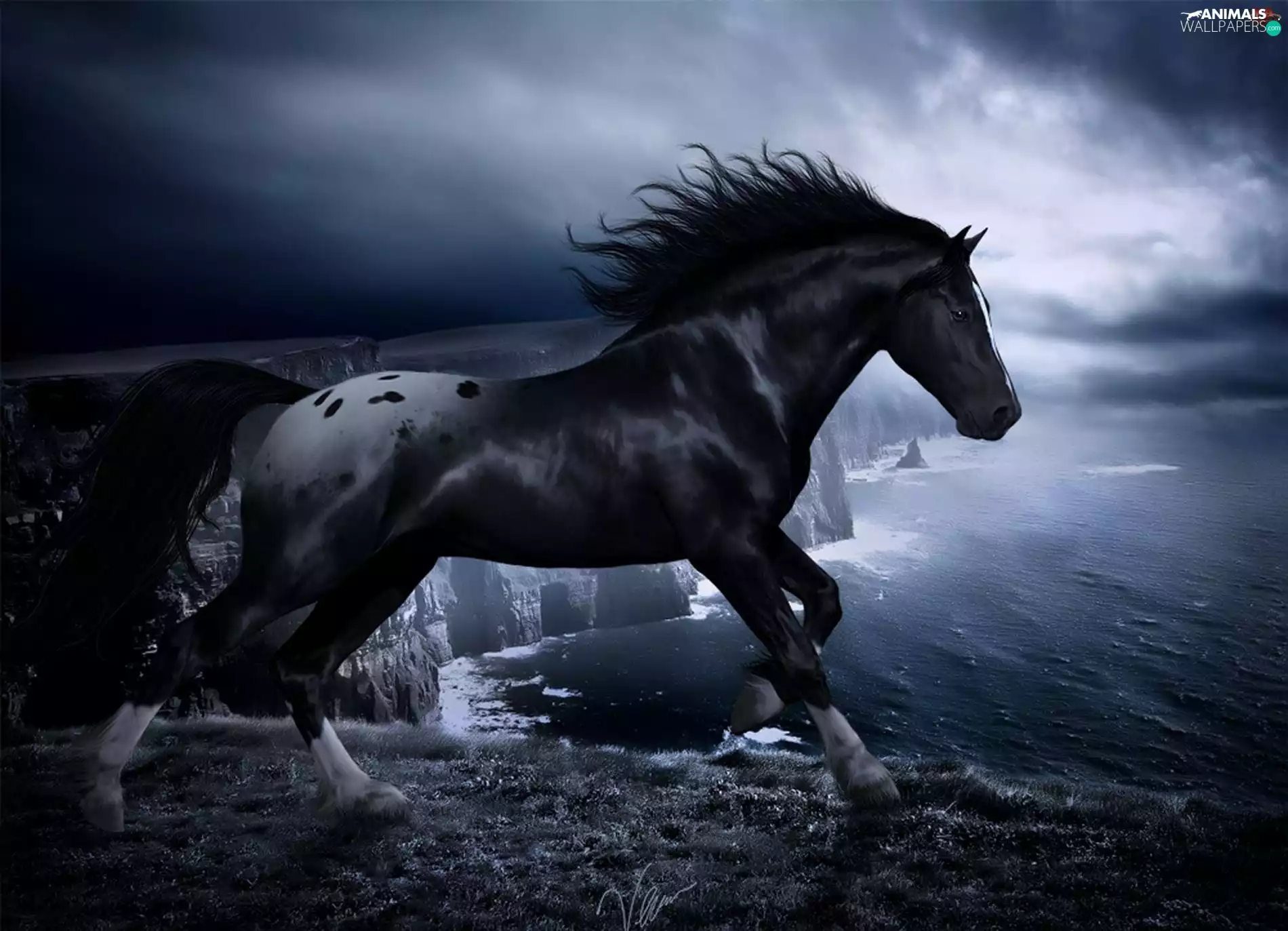 Black, cliff, cliff, Horse