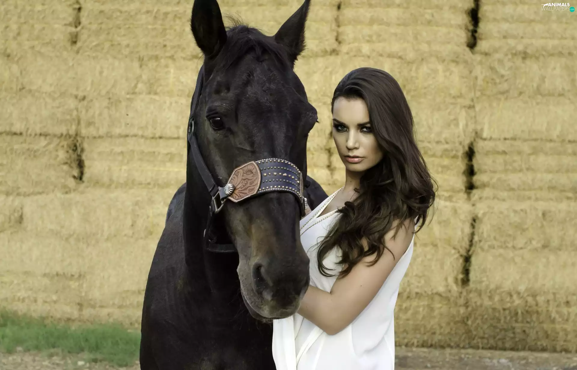 Horse, Women, Black