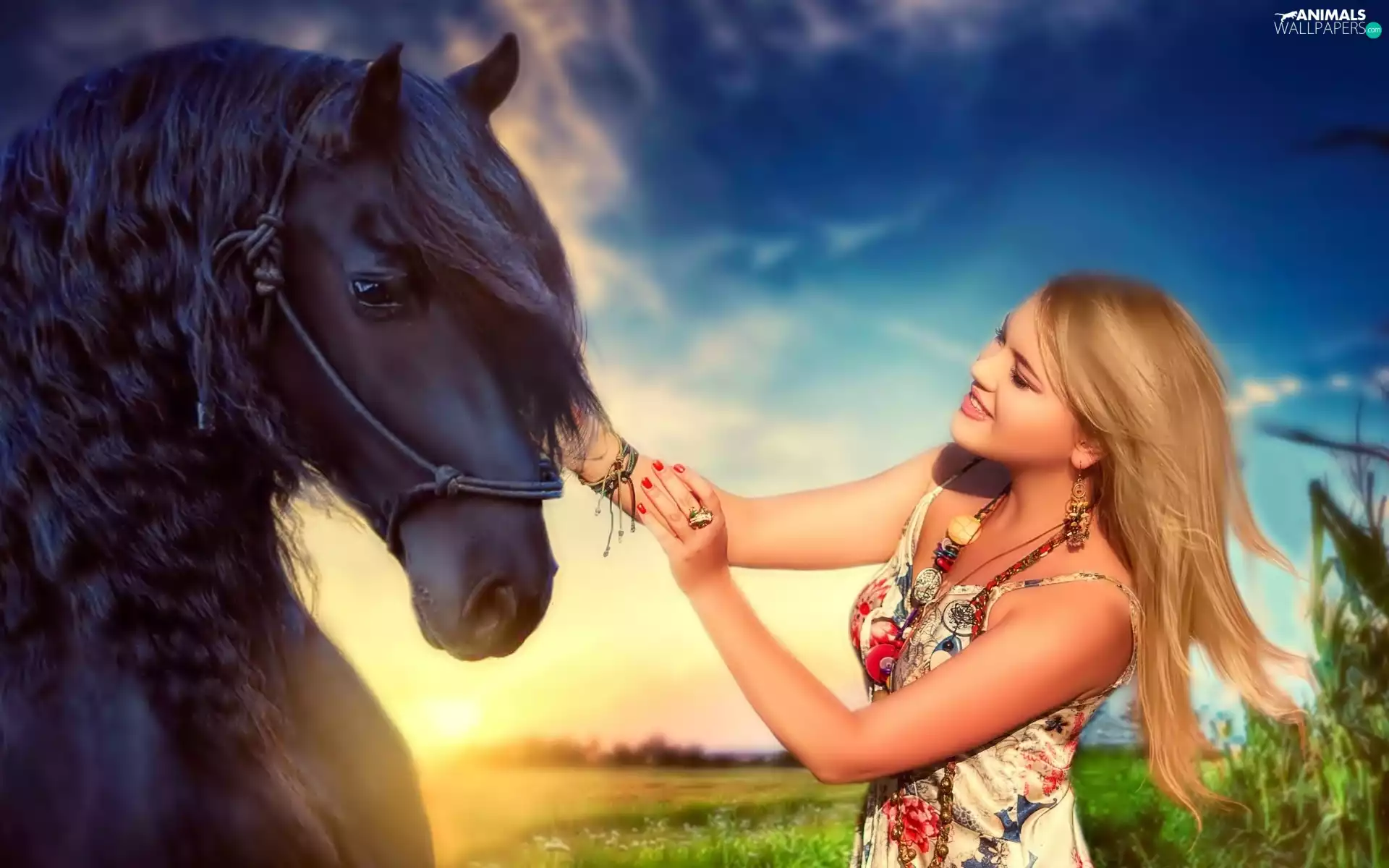Horse, Women, Blonde