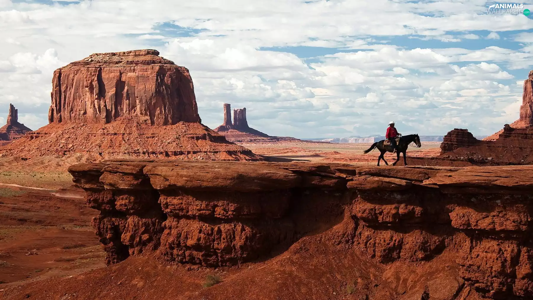 Horse, canyon, cowboy