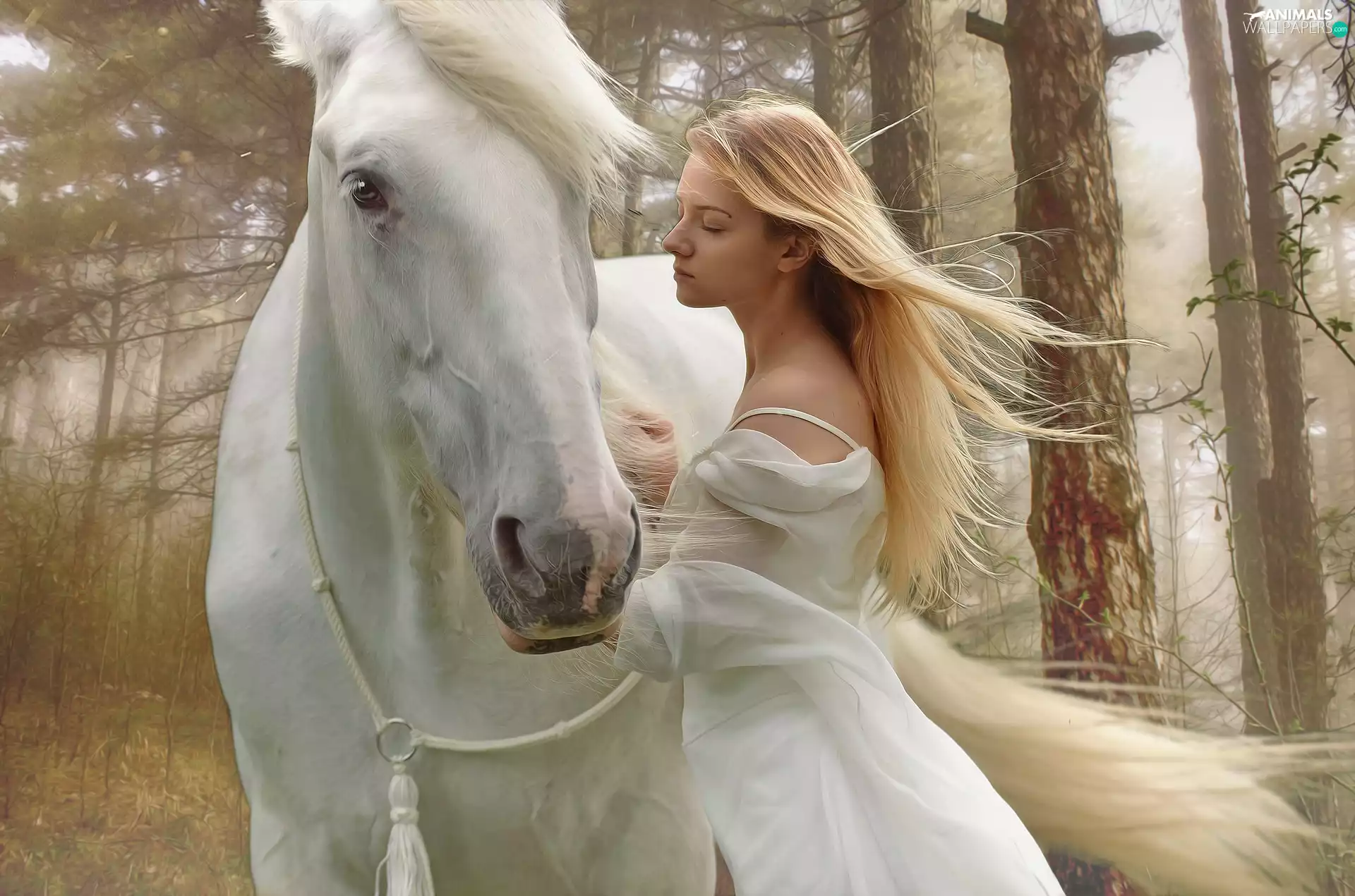 Horse, White, girl, Blonde, viewes, graphics, Dress, trees, White