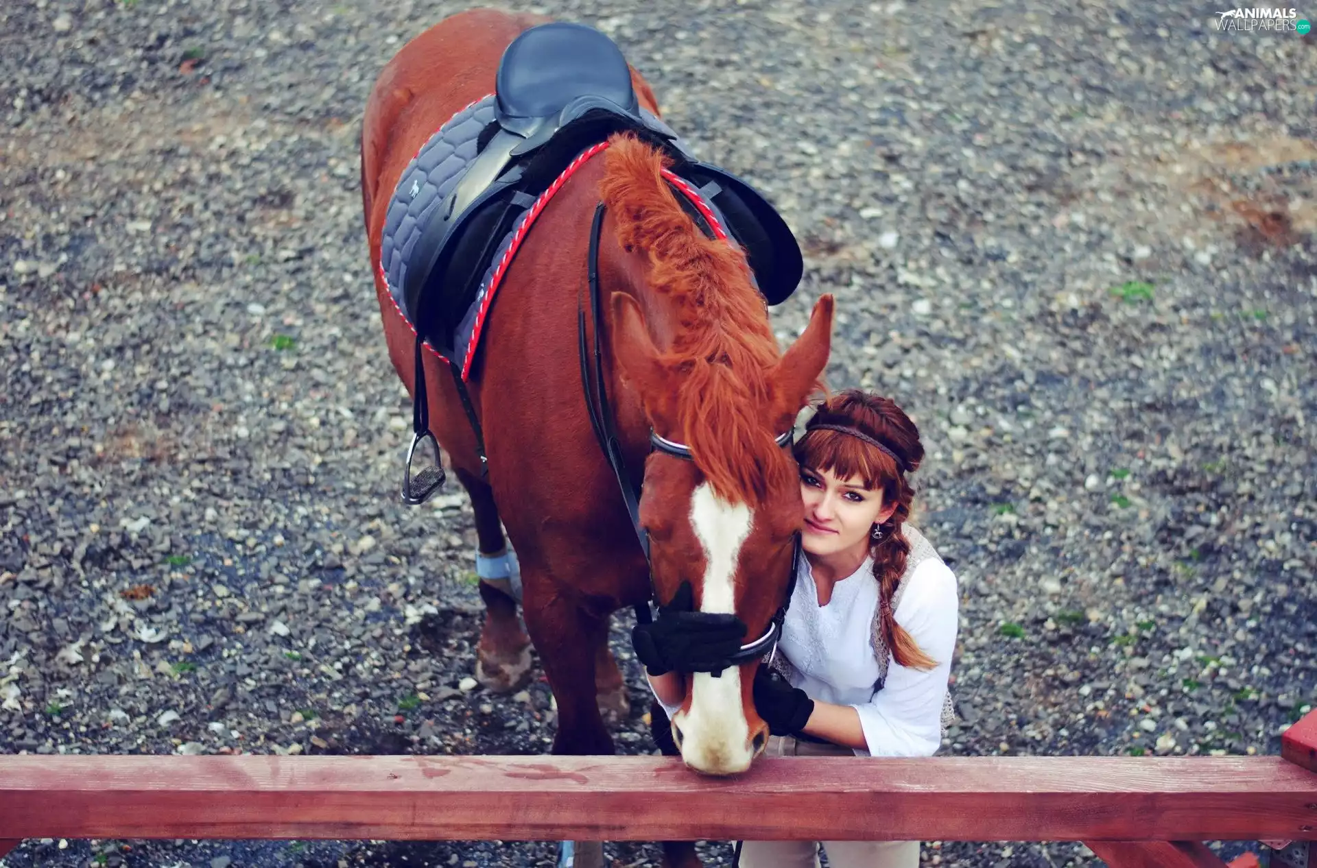 Horse, Women, fence