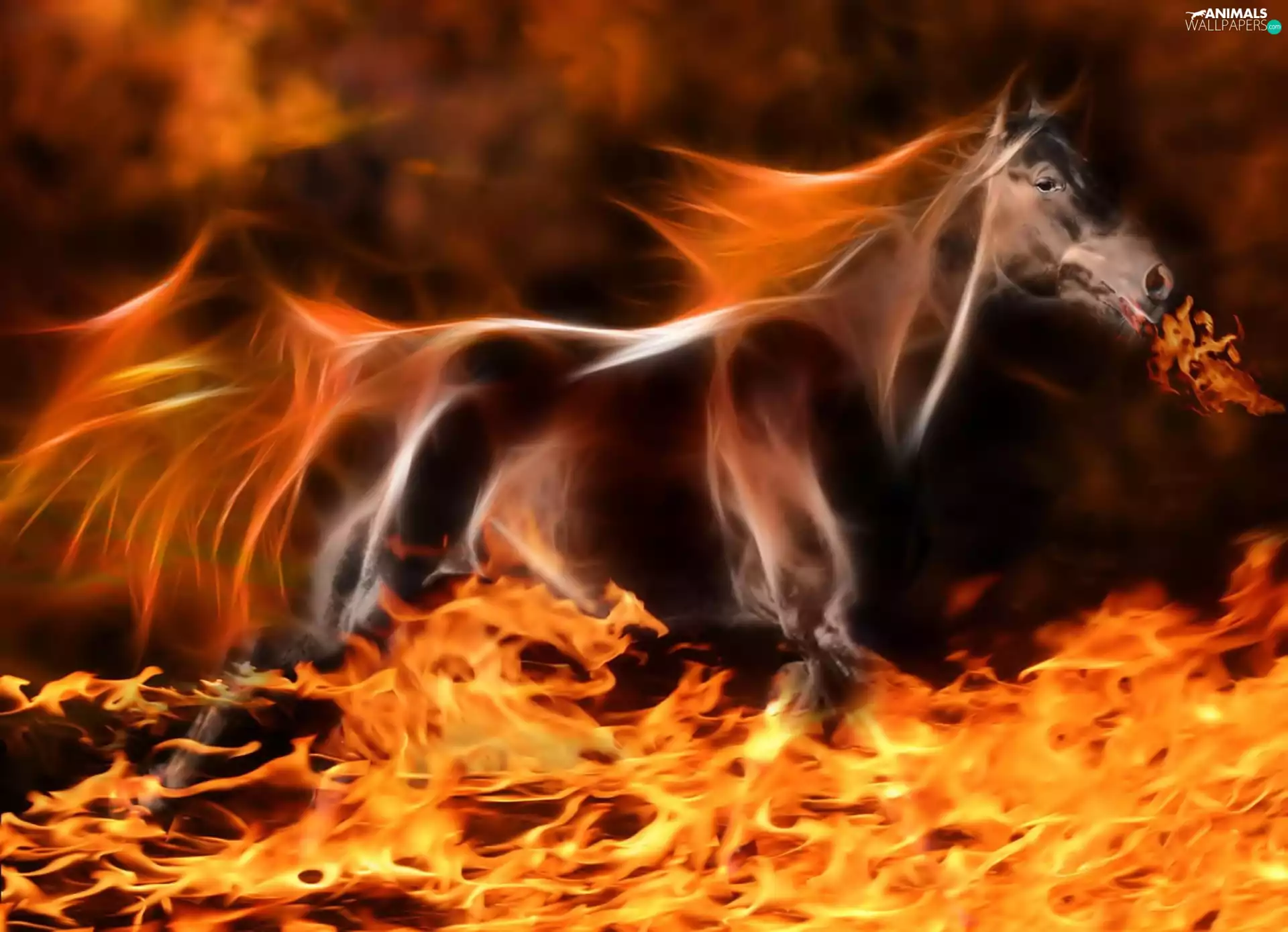 Horse, Big Fire