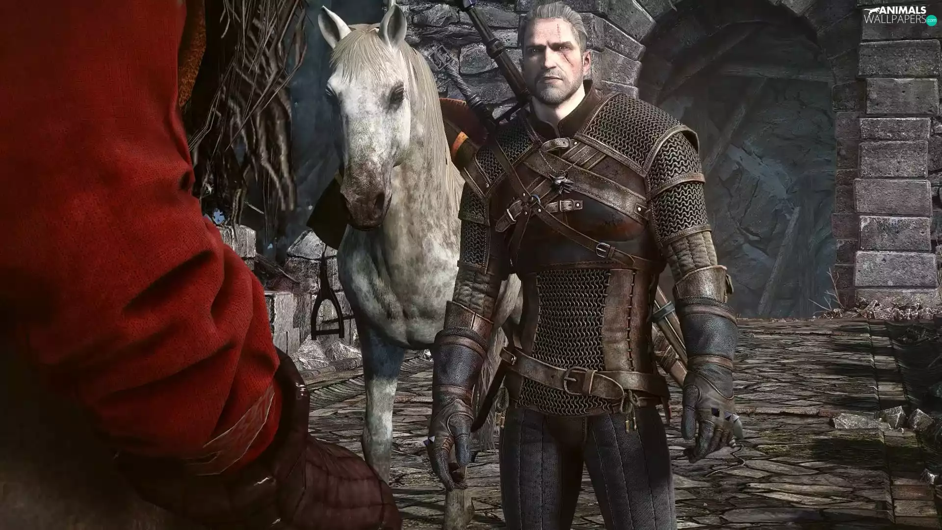 Horse, The Witcher 3: Wild Hunt, Geralt of Rivia