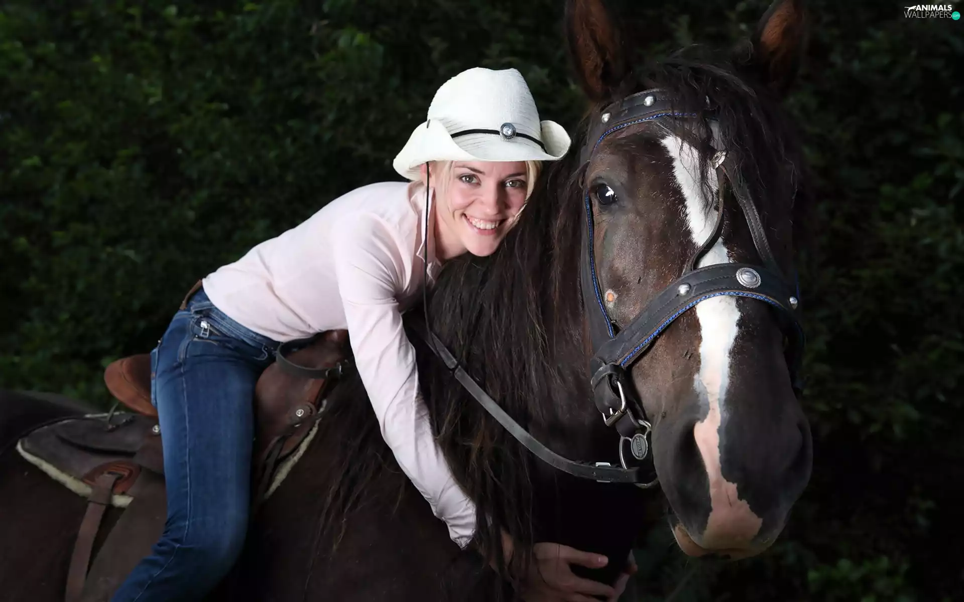 girl, forest, Way, Horse