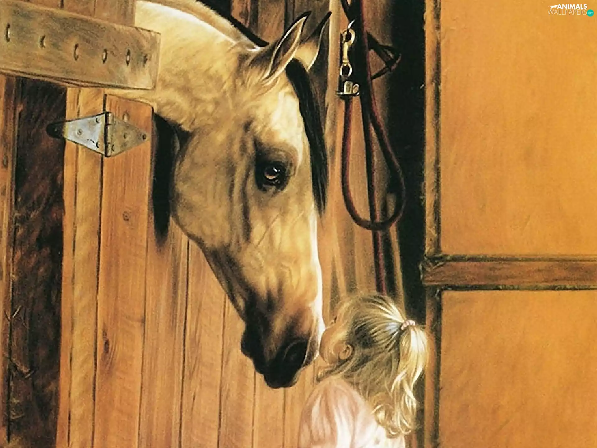 Horse, girl