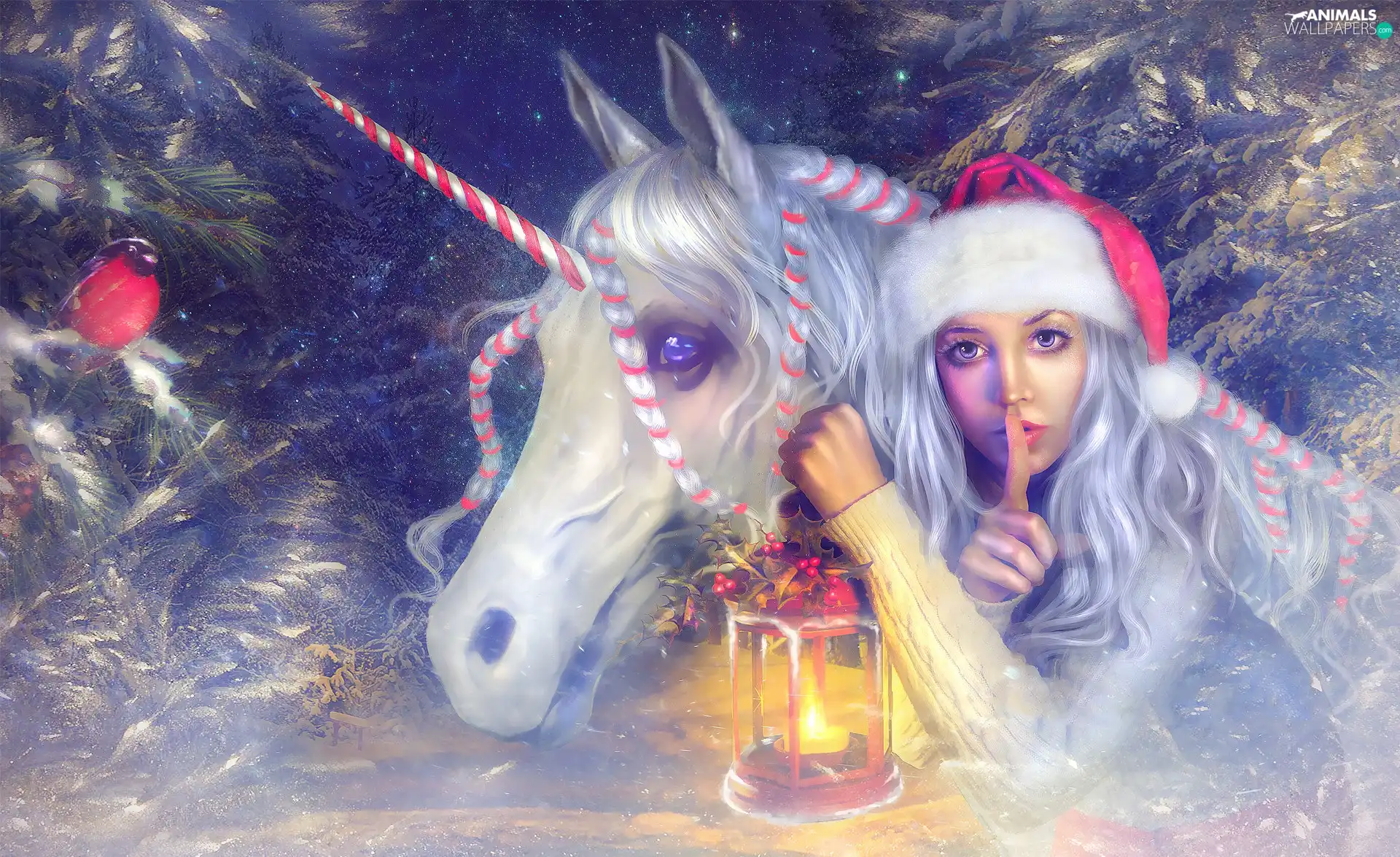 Nicholas, lantern, graphics, unicorn, Twigs, Hat, Women, Horse