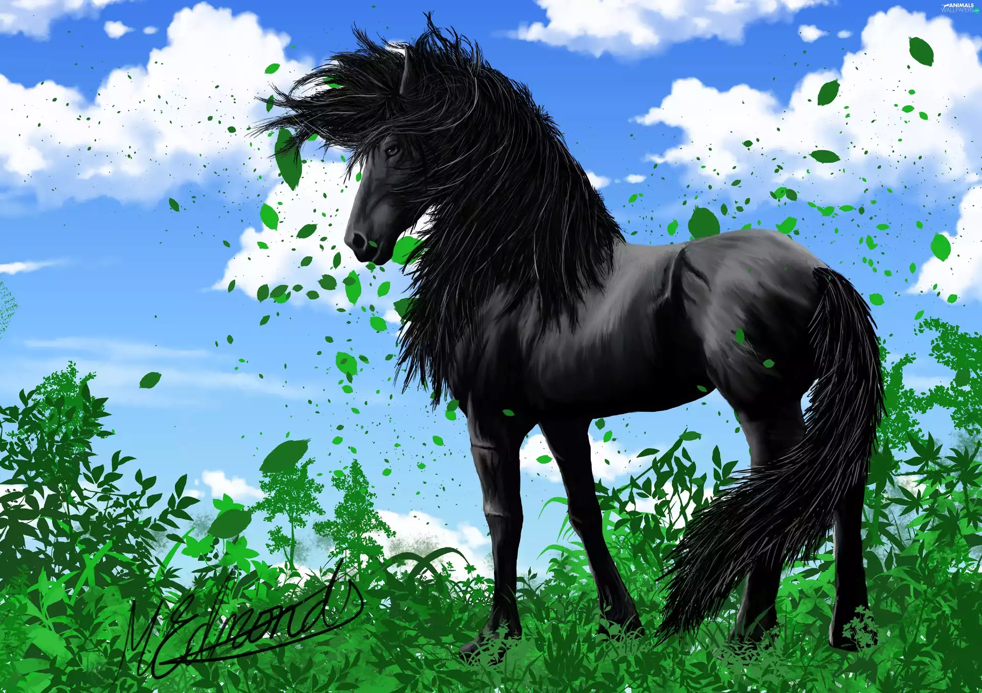 graphics, Leaf, Sky, Horse