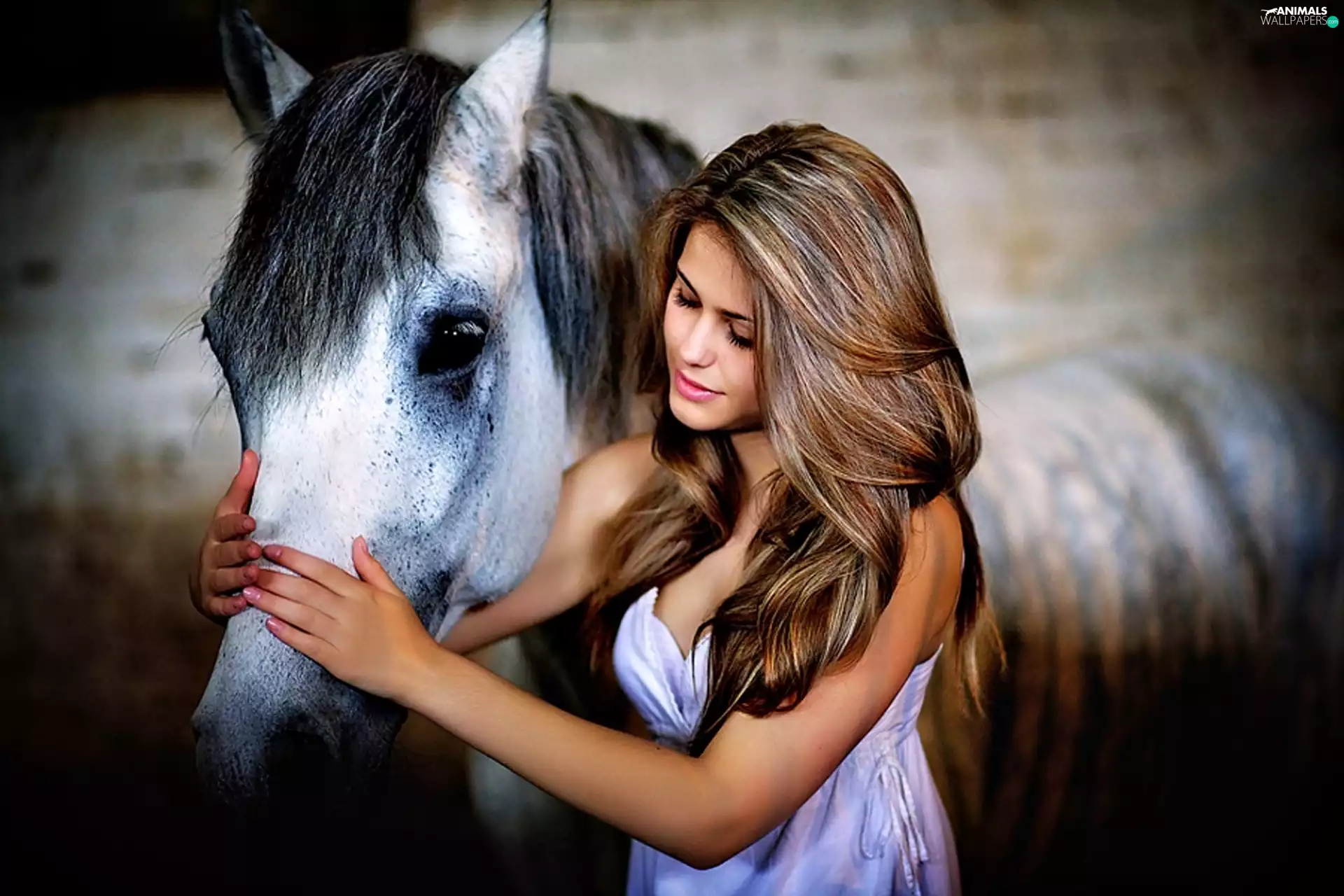 White, Horse, Longs, Hair, Women