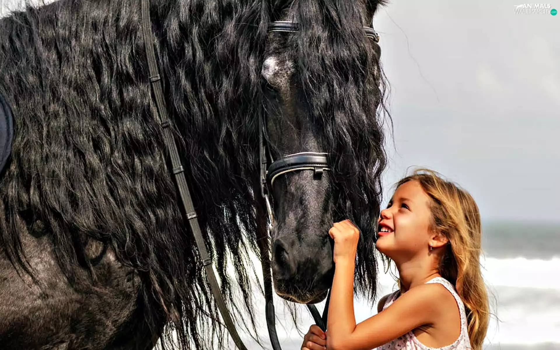 Horse, girl, Penalties