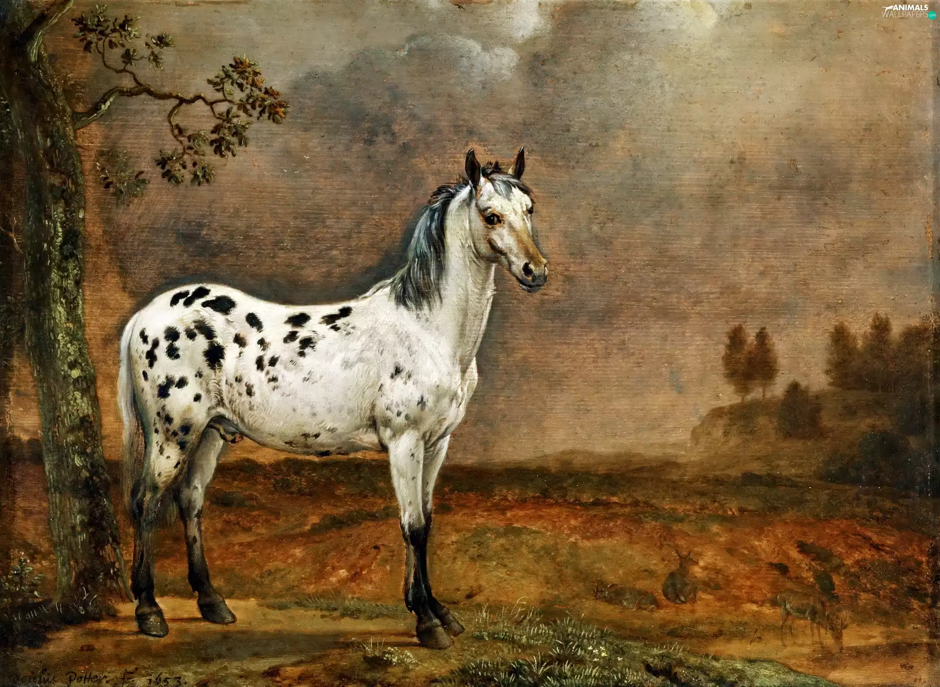 Horse, painting, picture