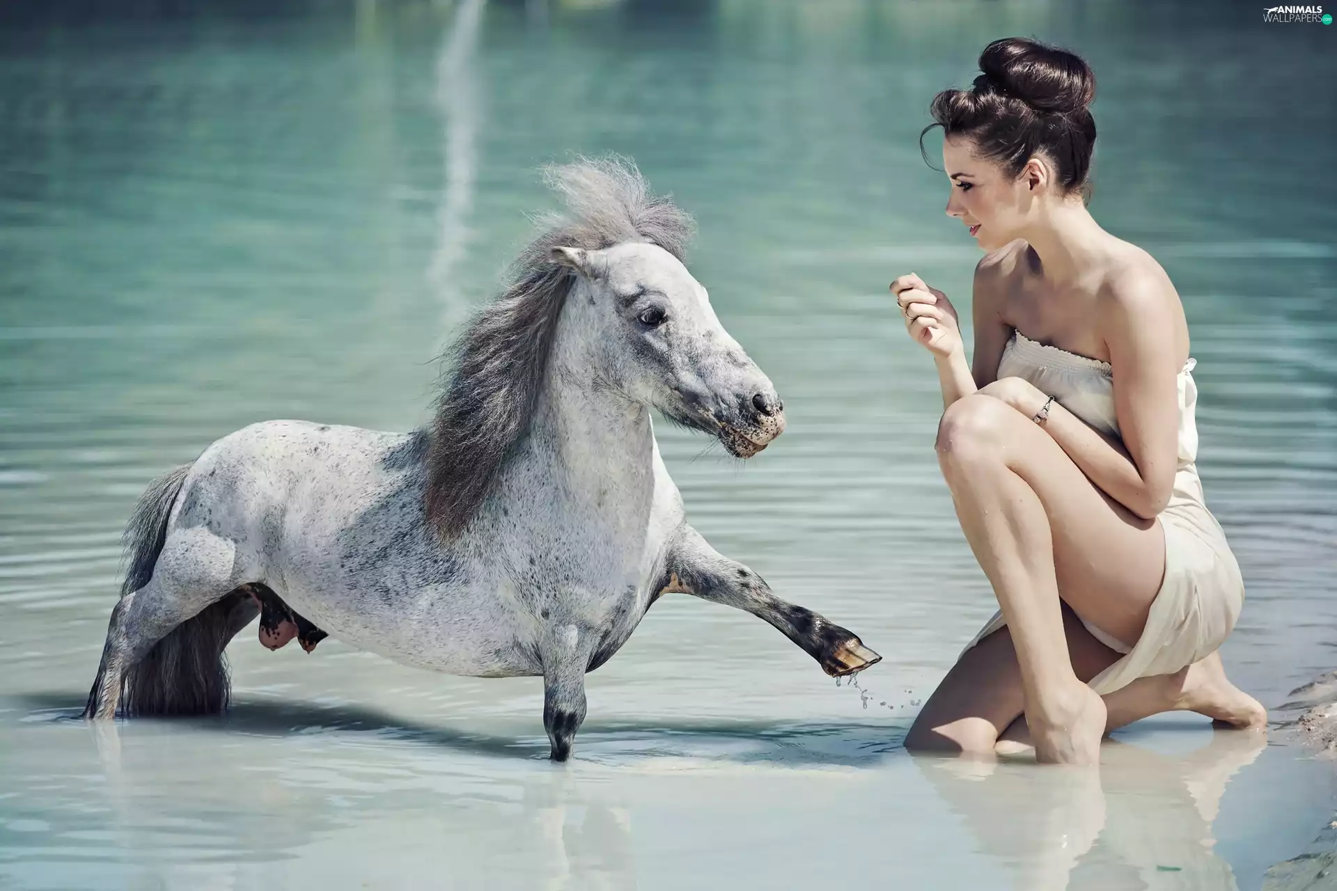 water, Women, sea-horse