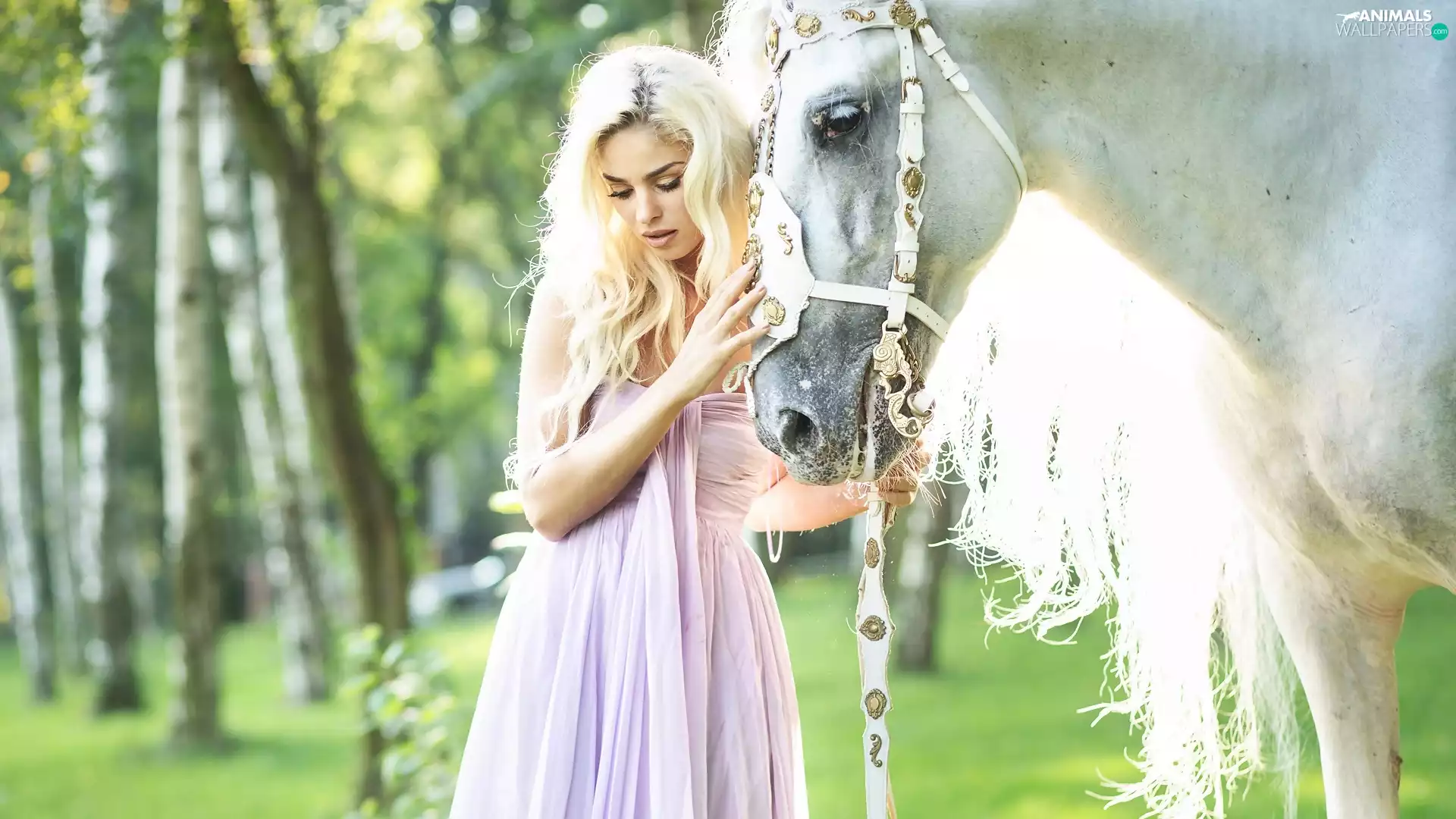 White, Women, Blonde, Horse