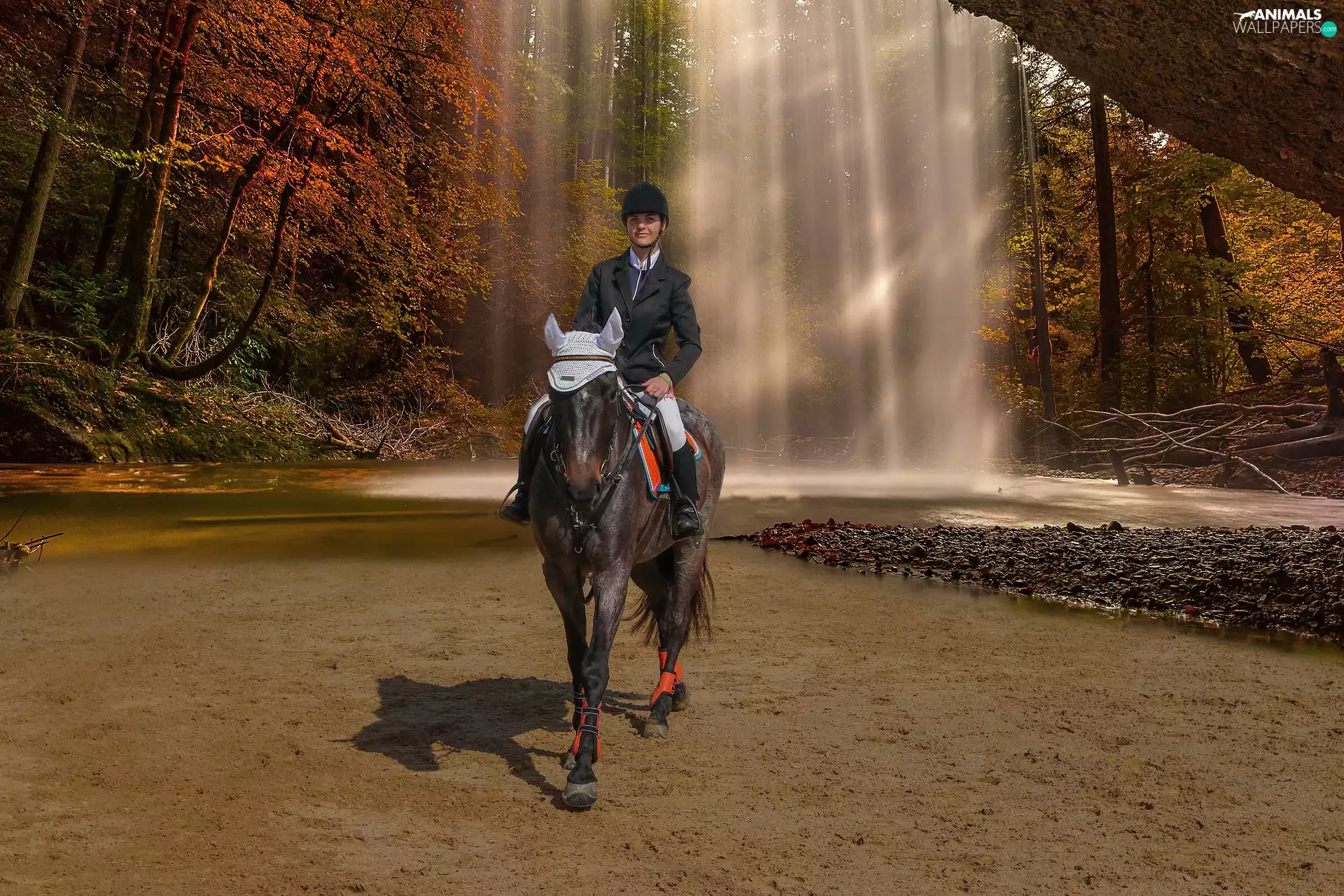 Women, waterfall, autumn, Horse