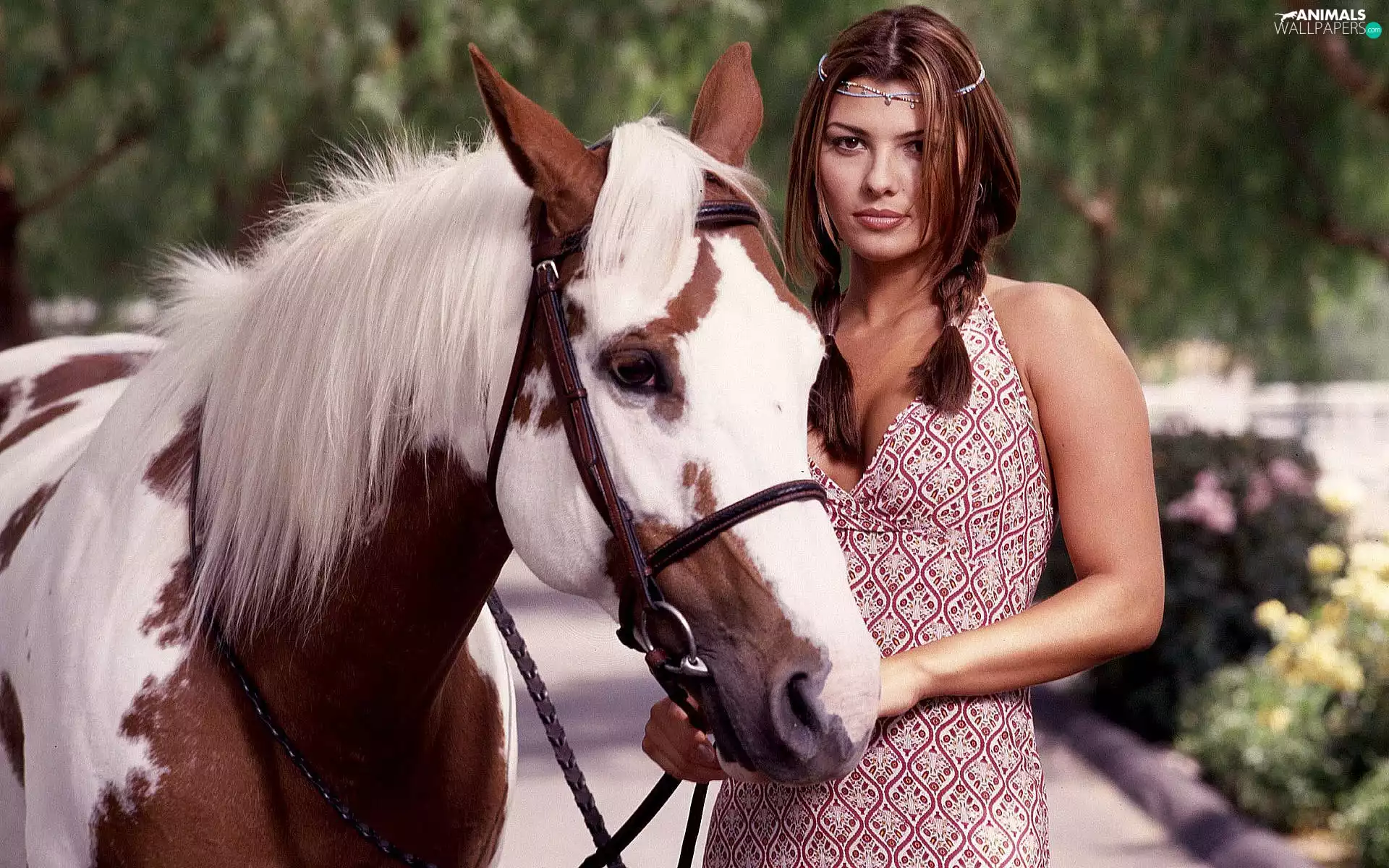 Horse, Beauty, Women