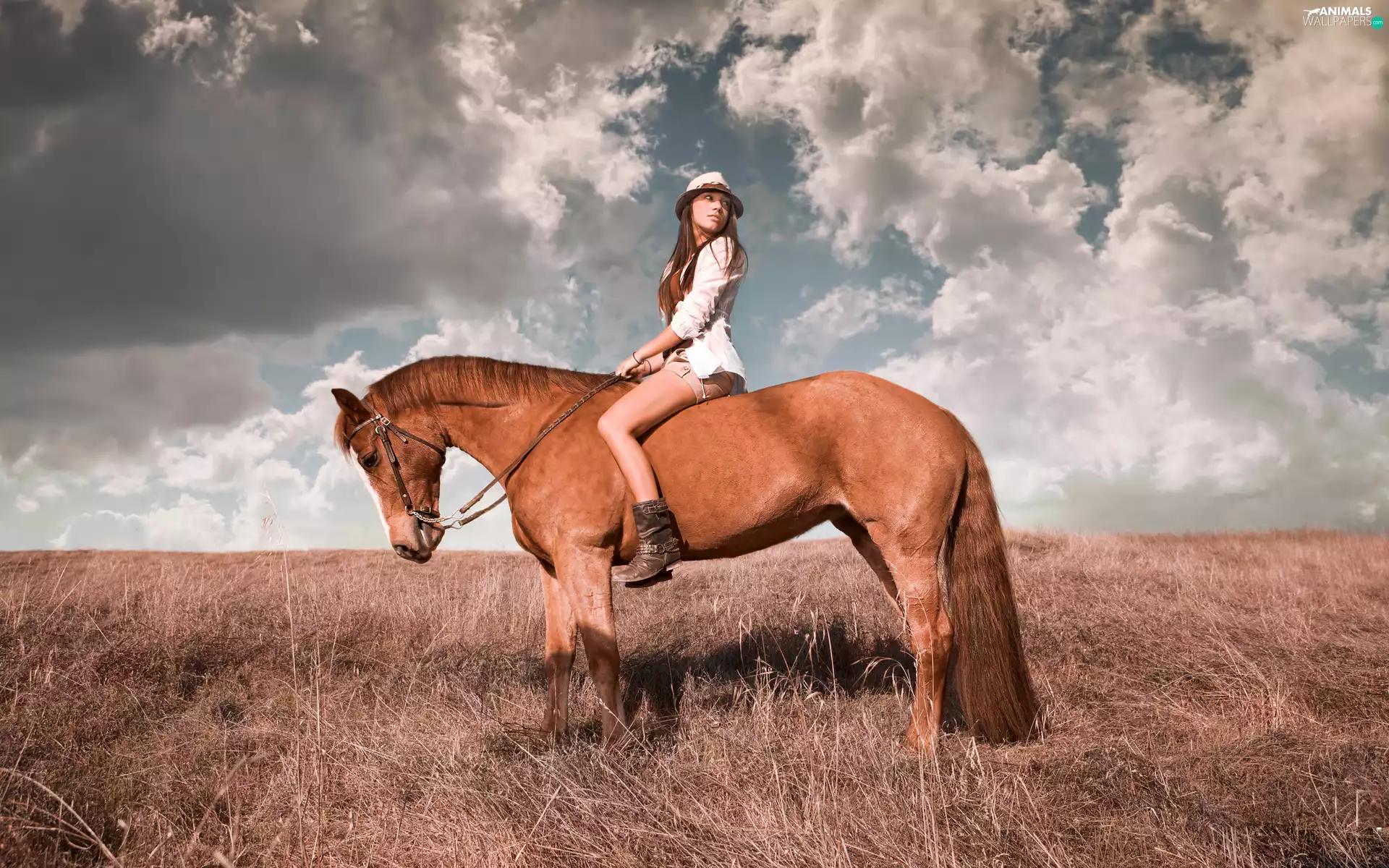 Women, Meadow, clouds, Horse