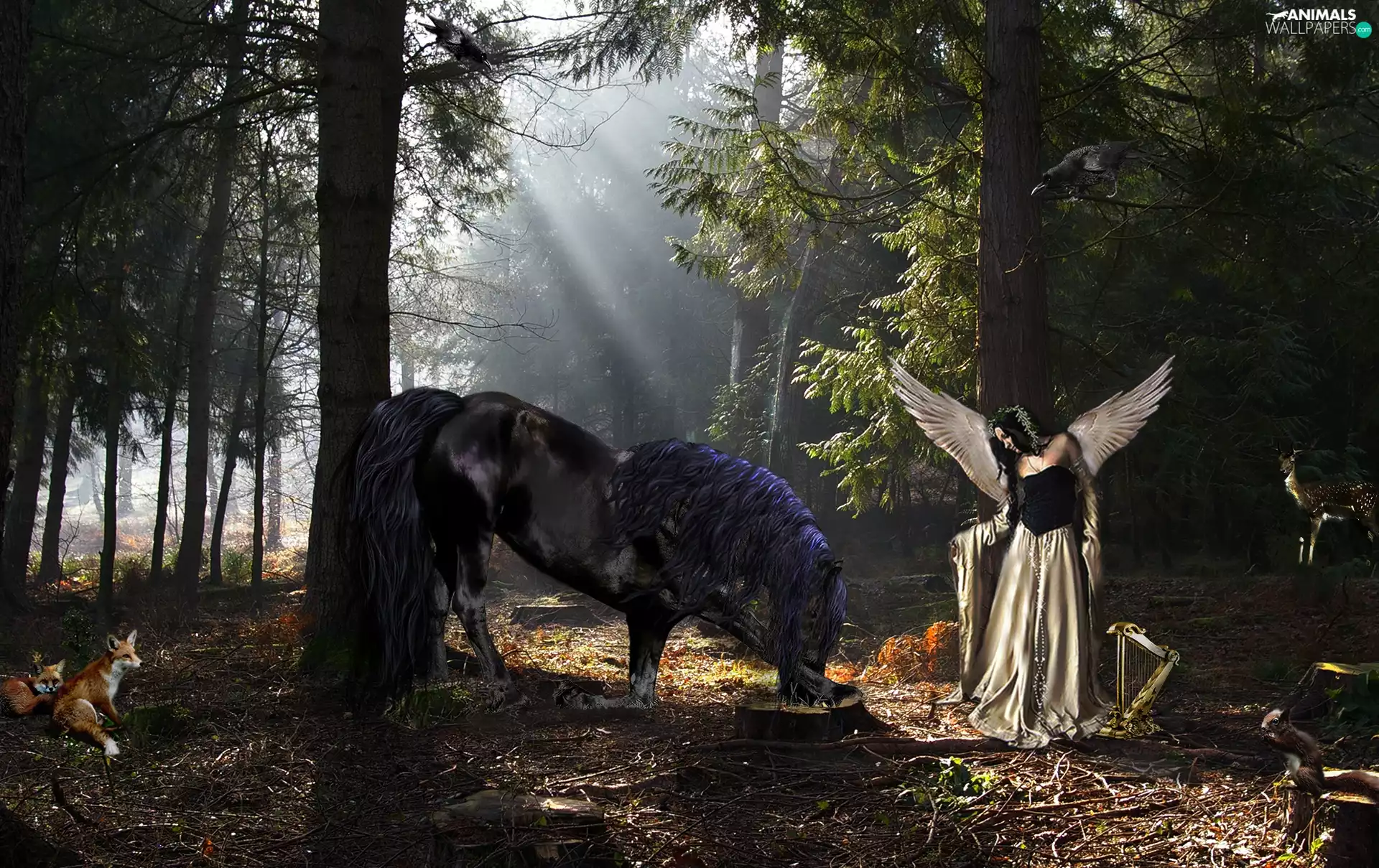 Horse, forest, Women