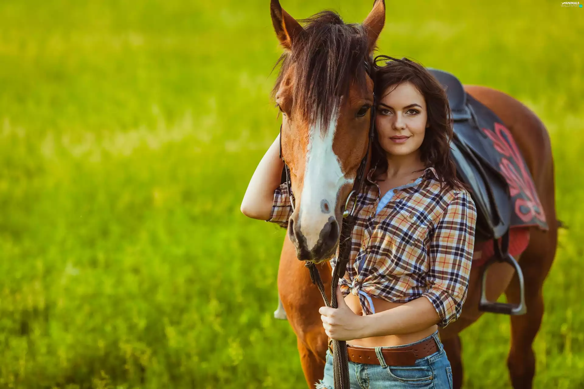 Women, friendship, Meadow, Horse
