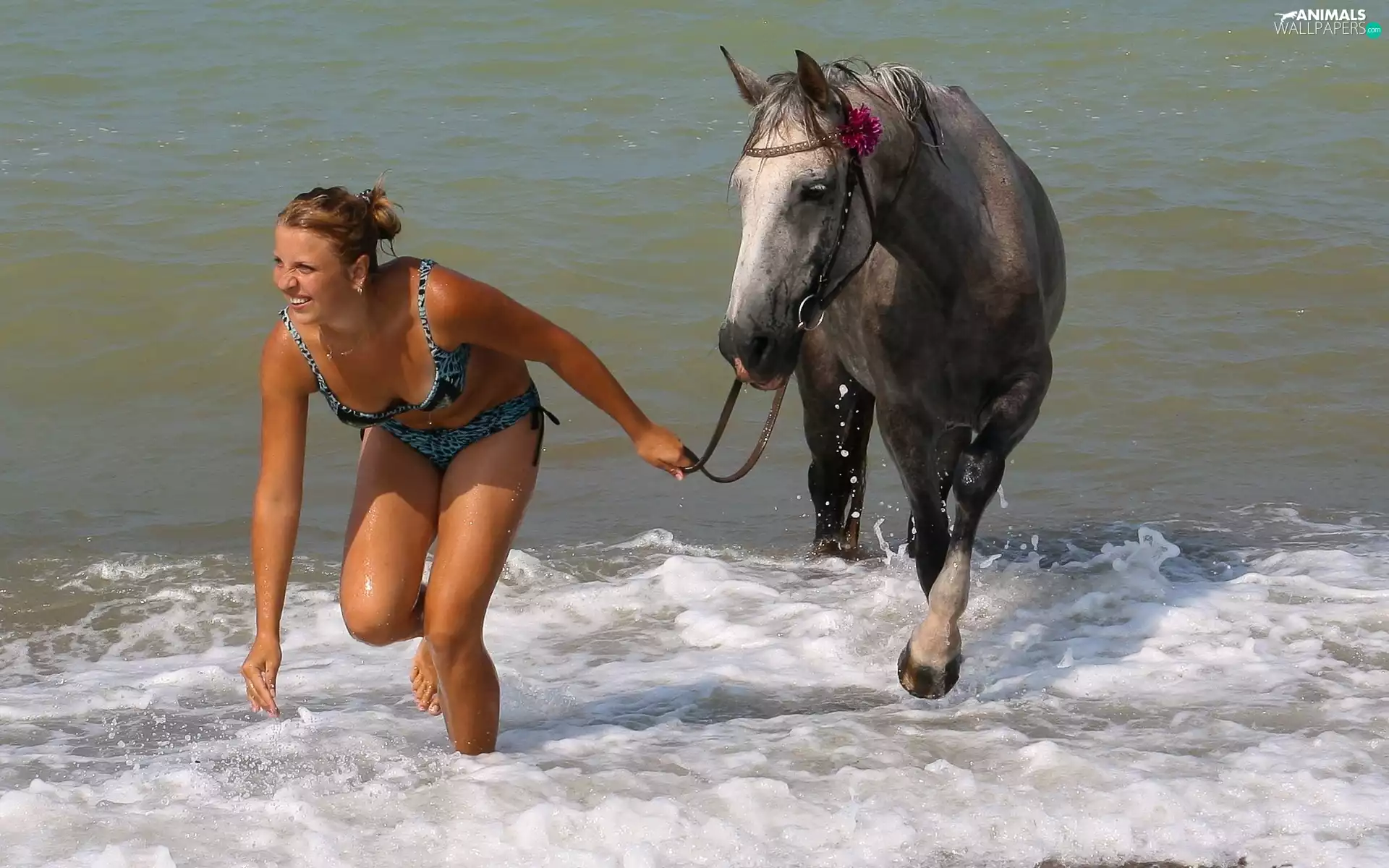 Horse, sea, Women