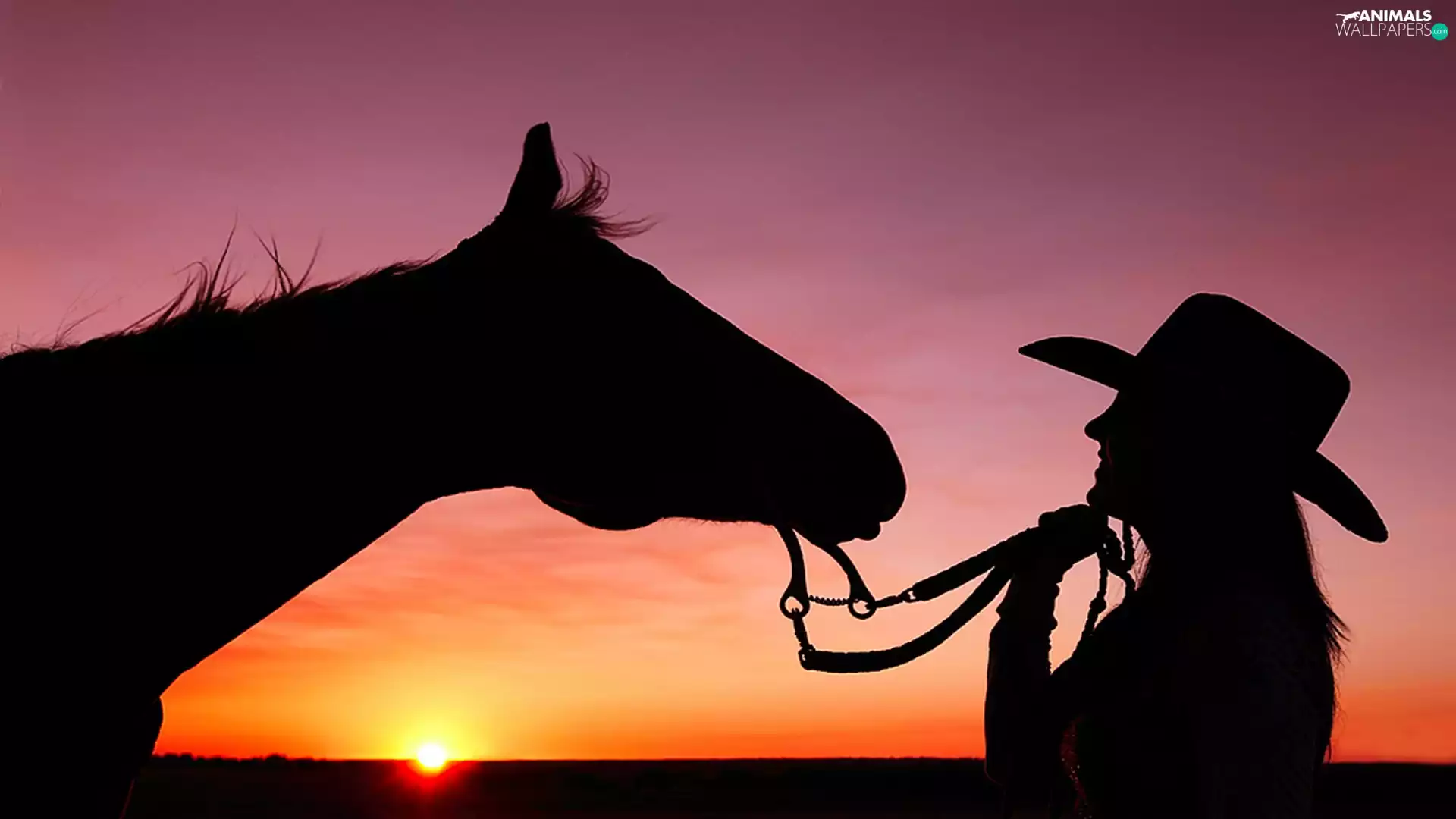 Women, west, sun, Horse