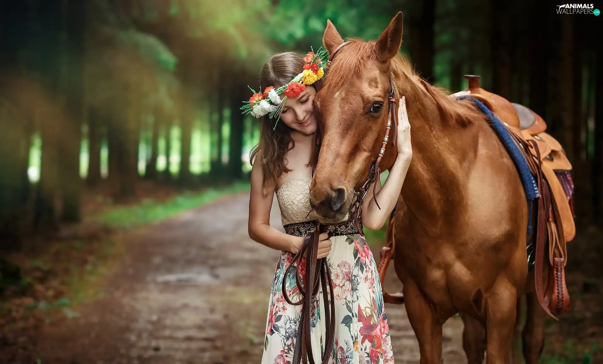 Horse, girl, wreath