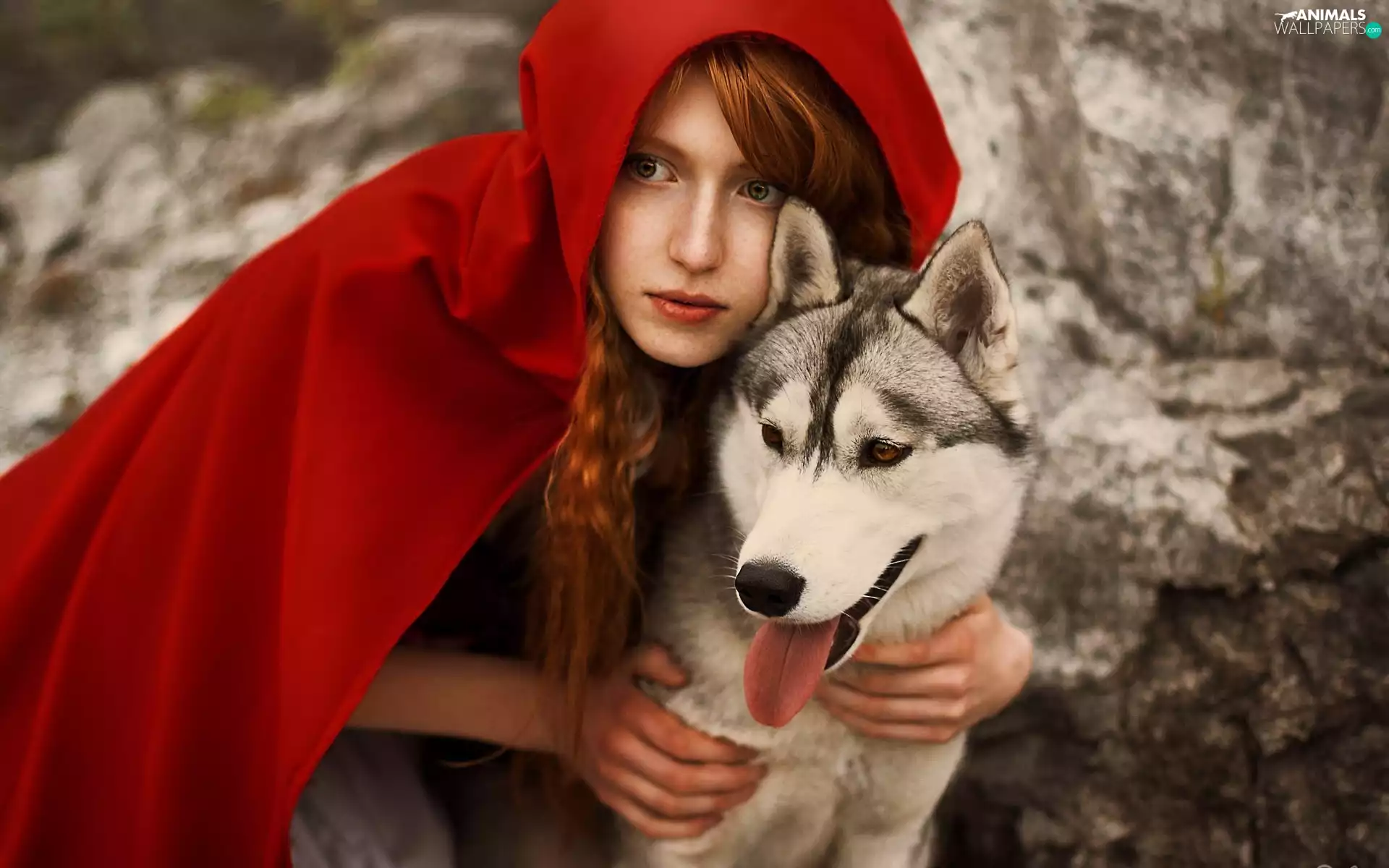dog, Husky, red hot, cape, Women