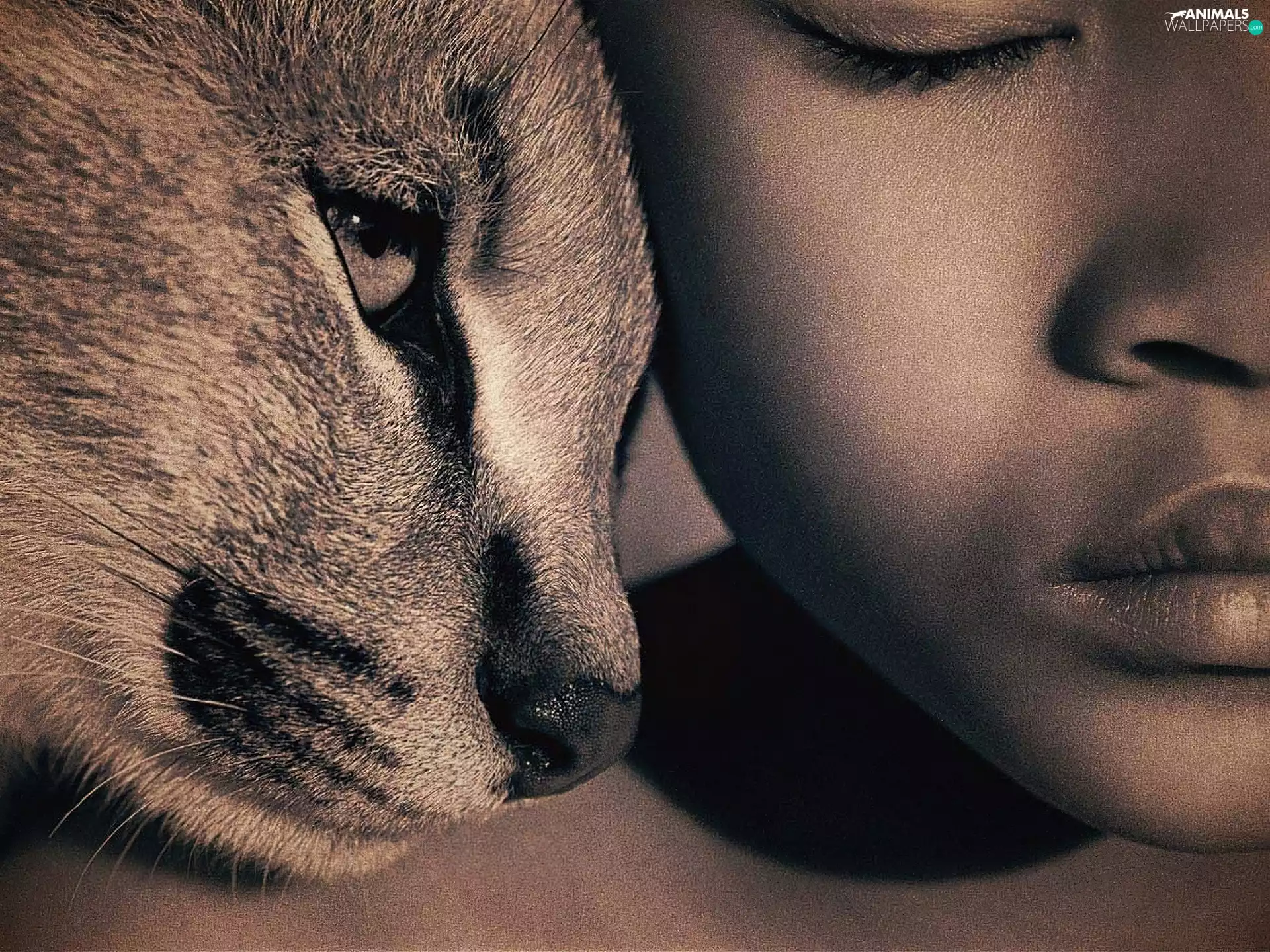 face, muzzle, cat, human