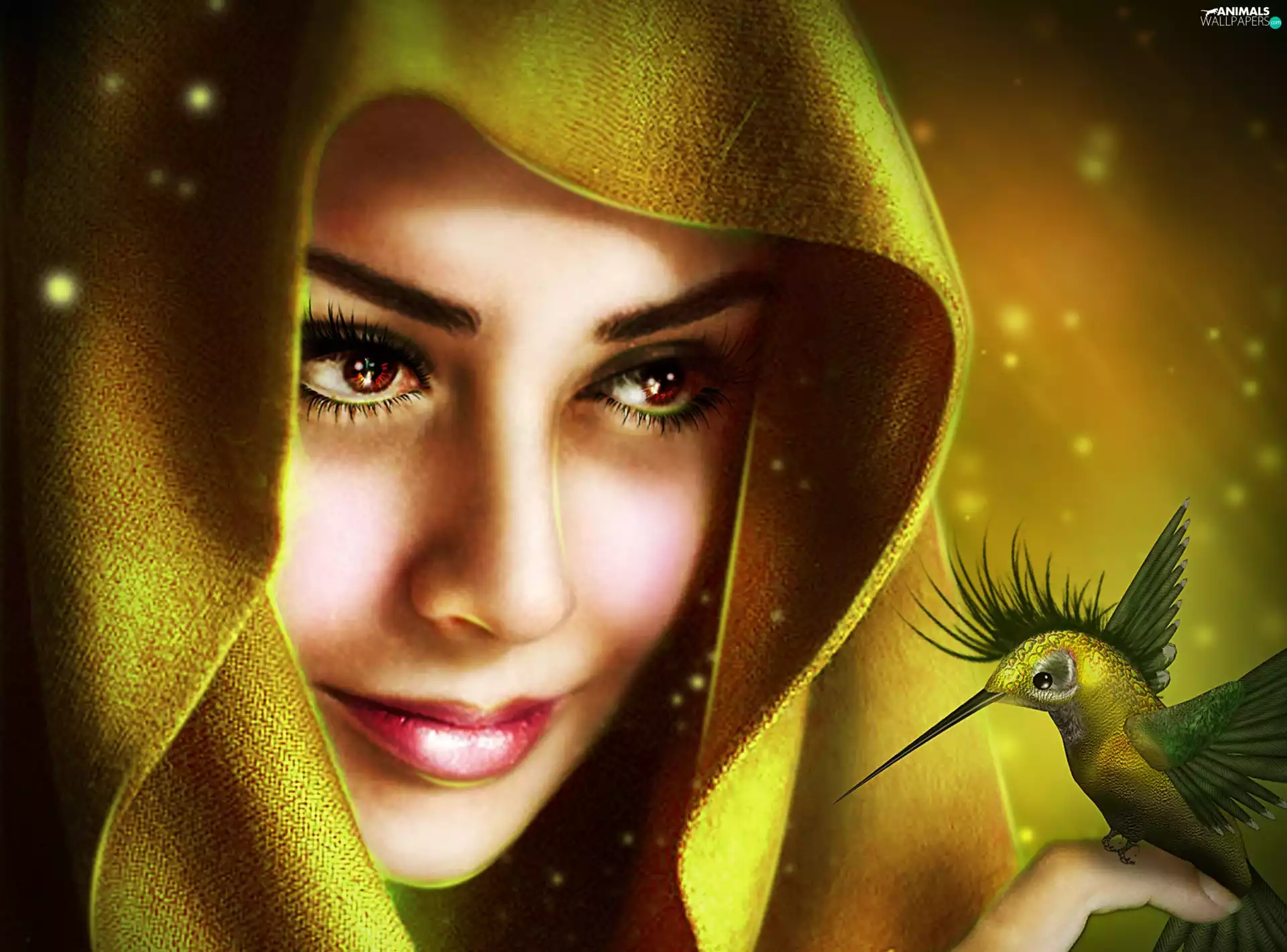 Hummingbird, Women, hood