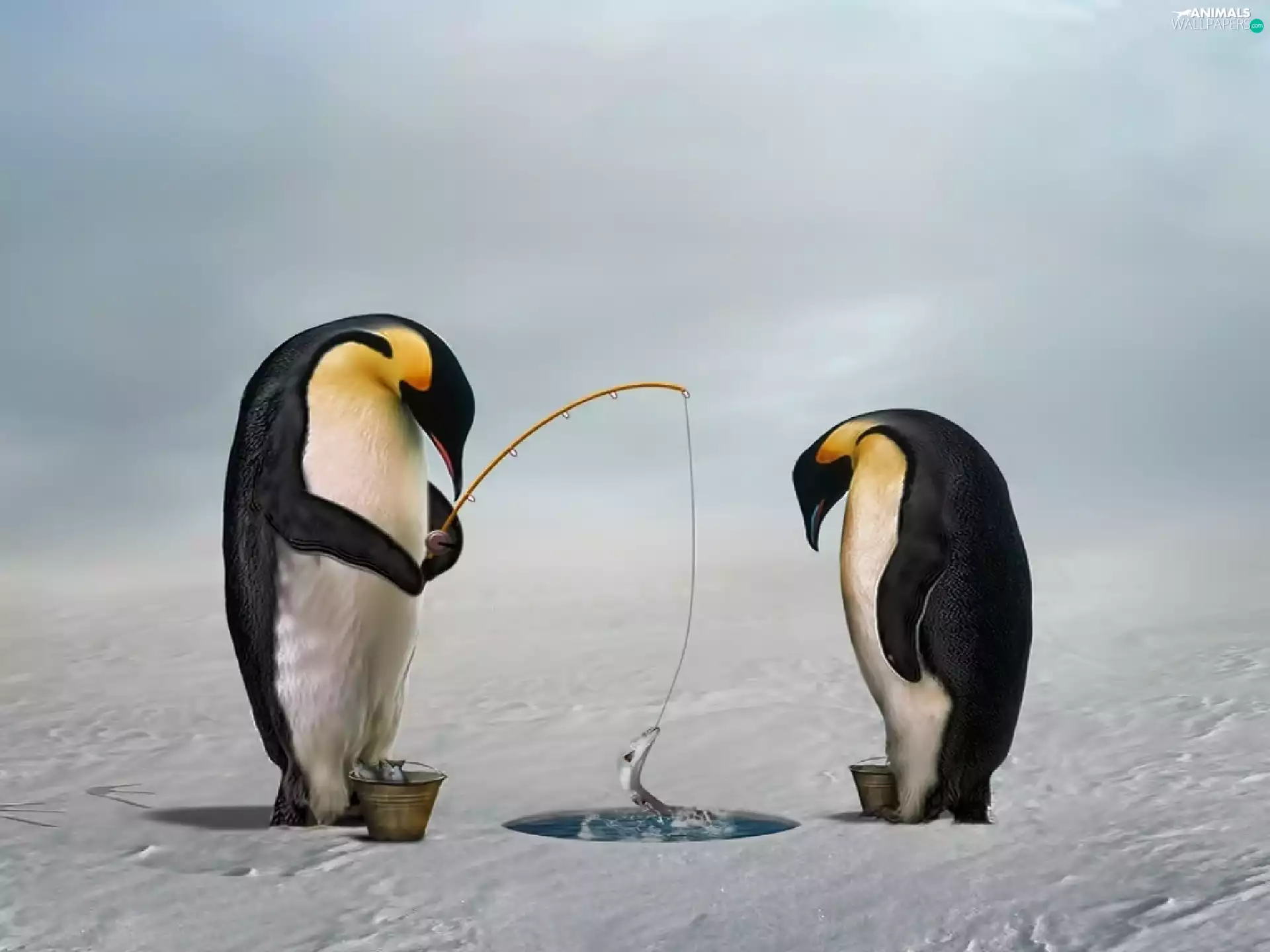 penguin, graphics, Computer, hunting