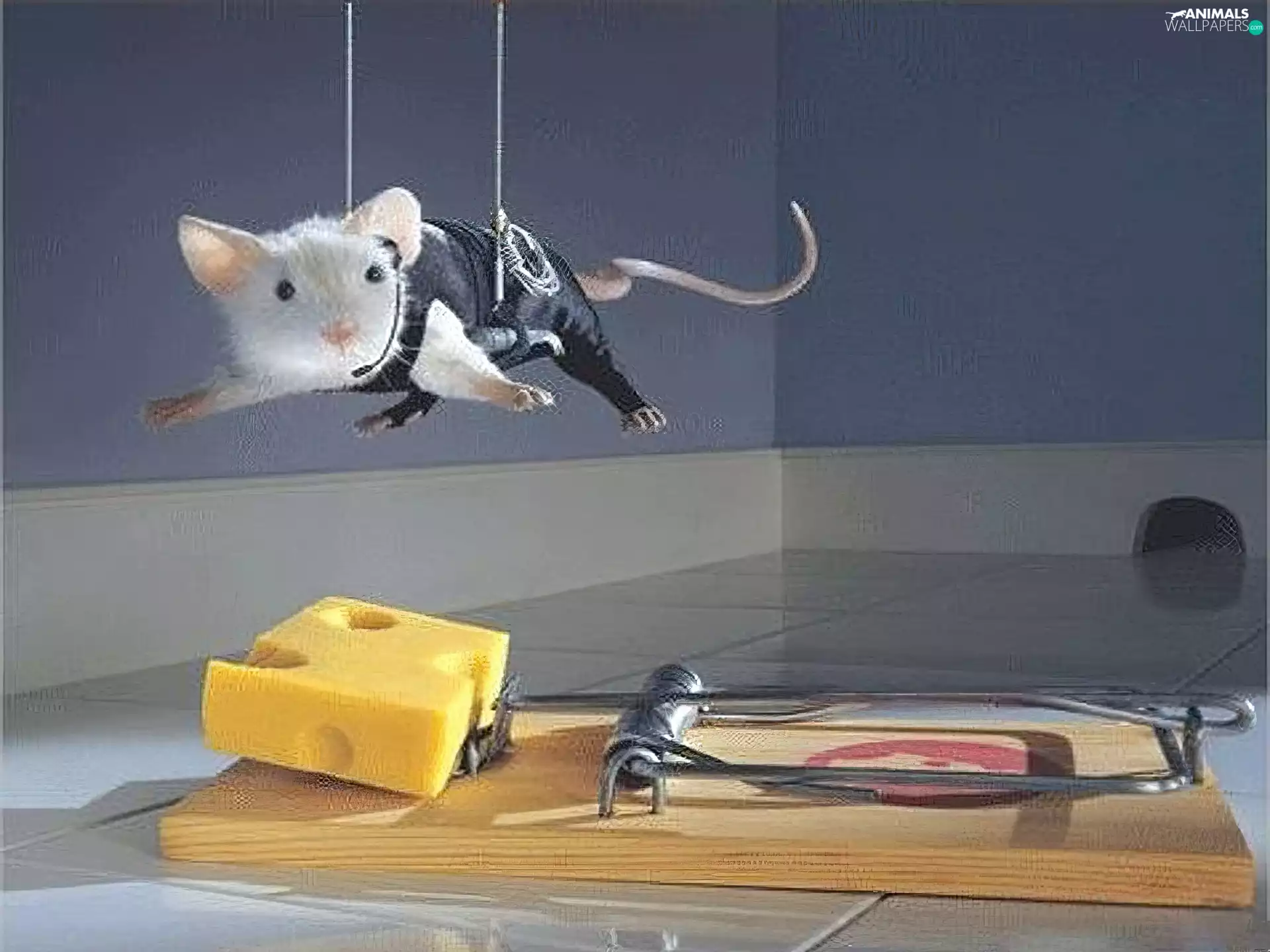 Imposible, mouse, Mission