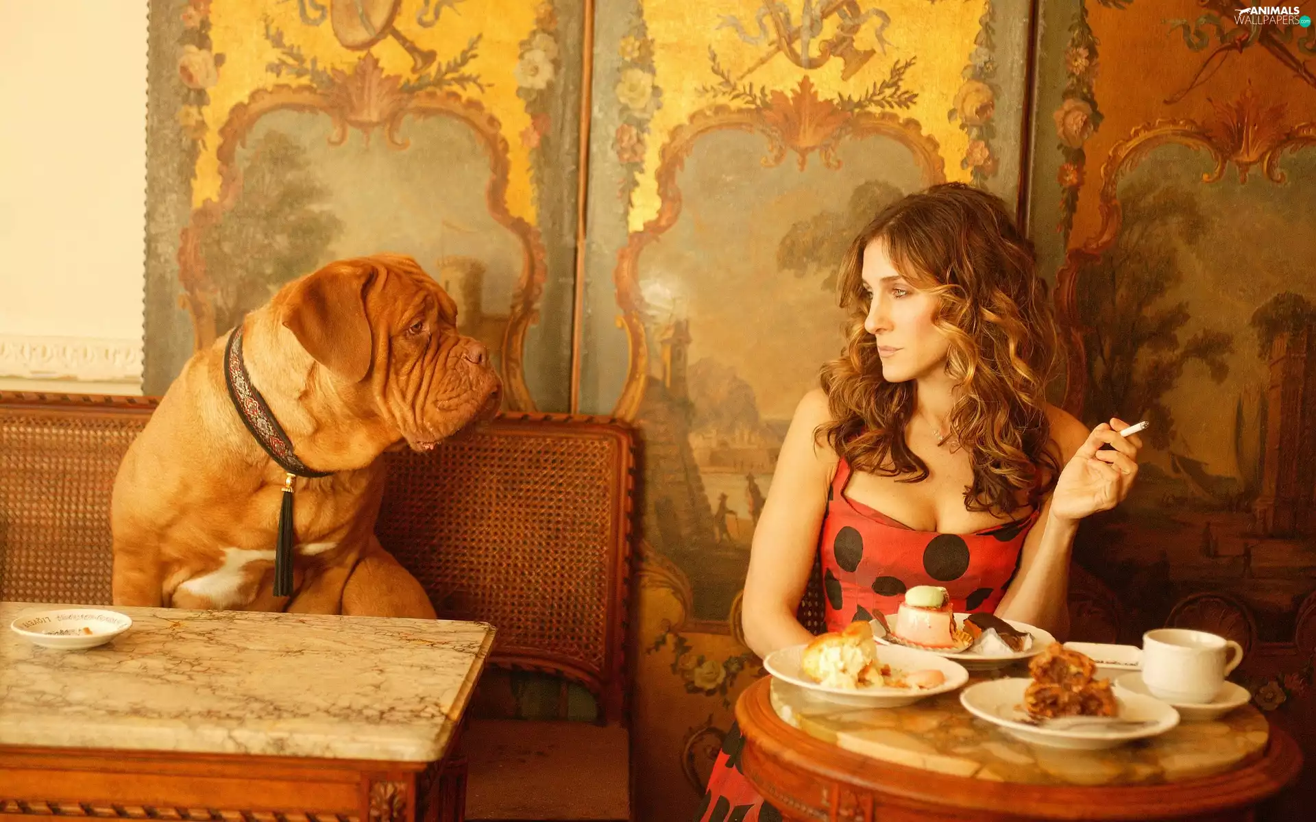 dog, coffee, actress, Jessica Sarah Parker, Women