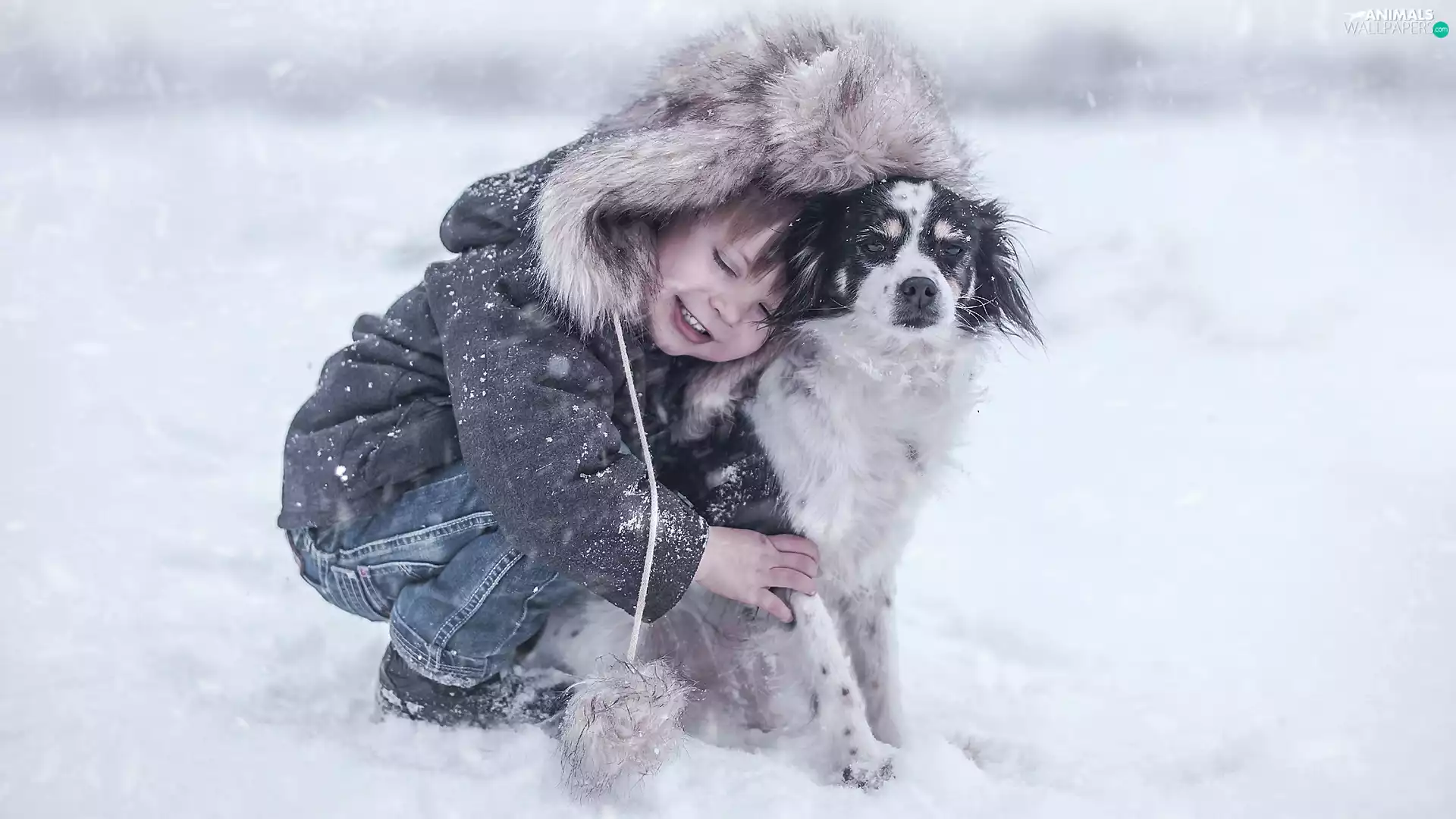 snow, joy, boy, winter, dog