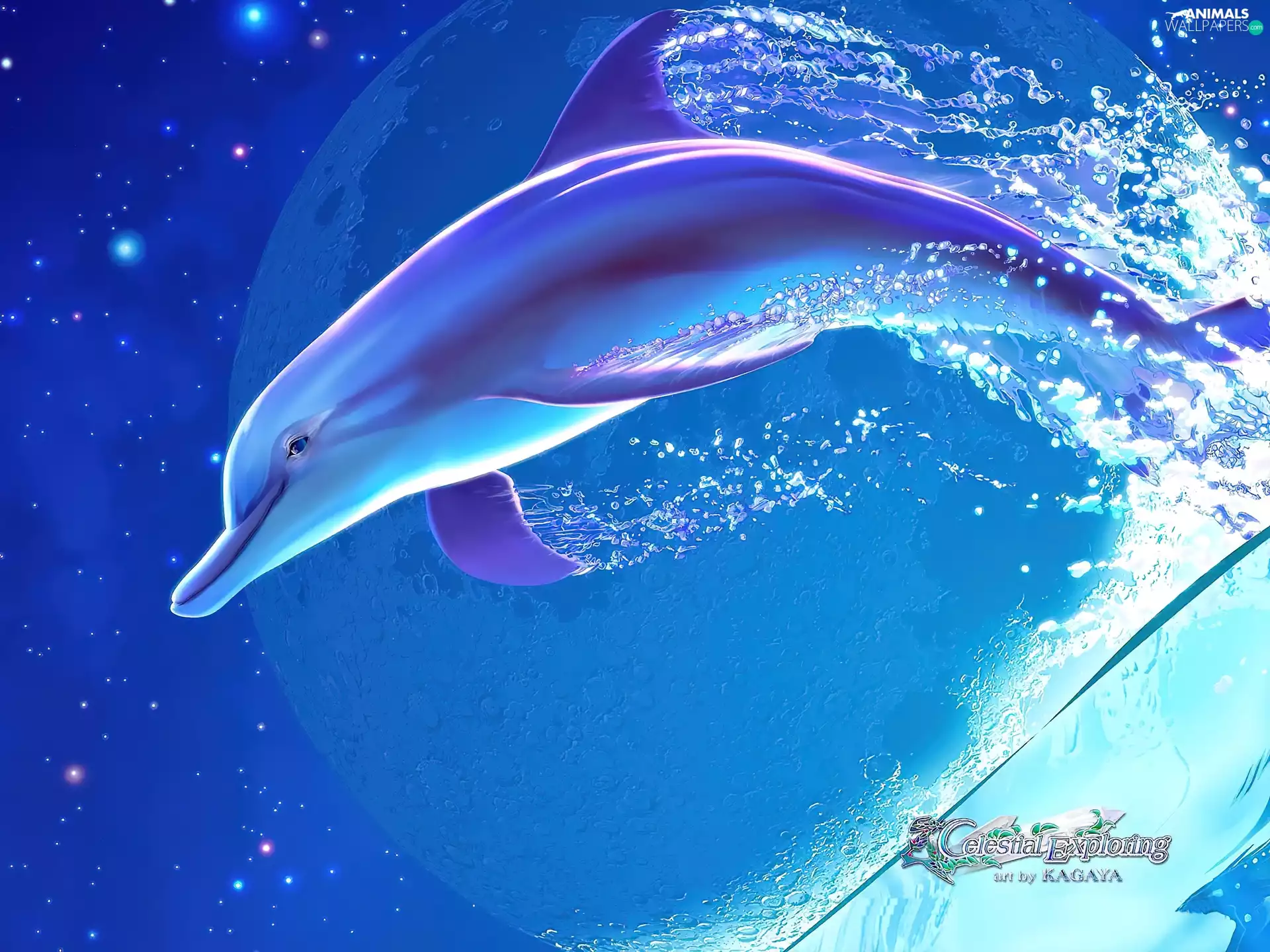 graphics, dolphin, jump, Kagaya