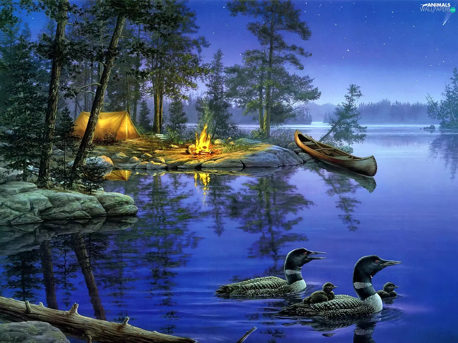 bivouac, Kanu, lake, ducks, Night