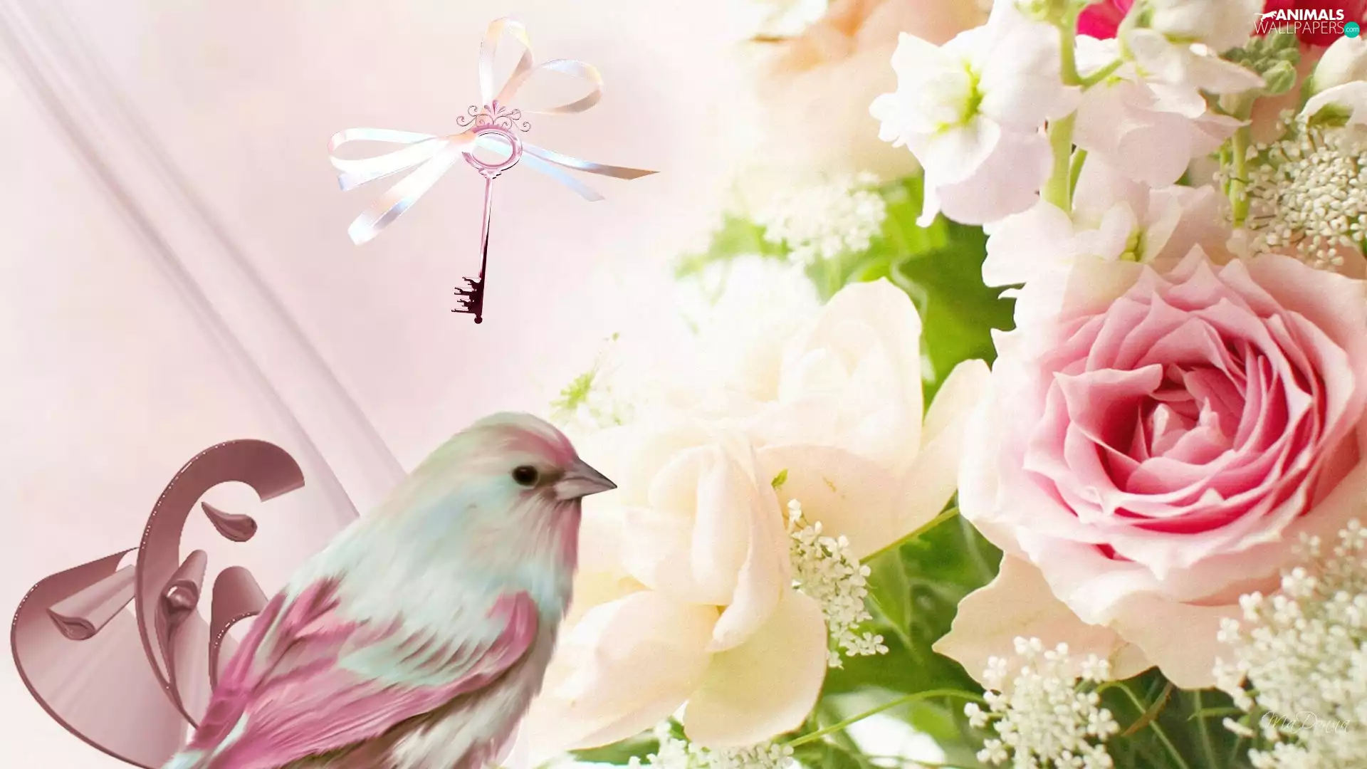 Key, birdies, Flowers