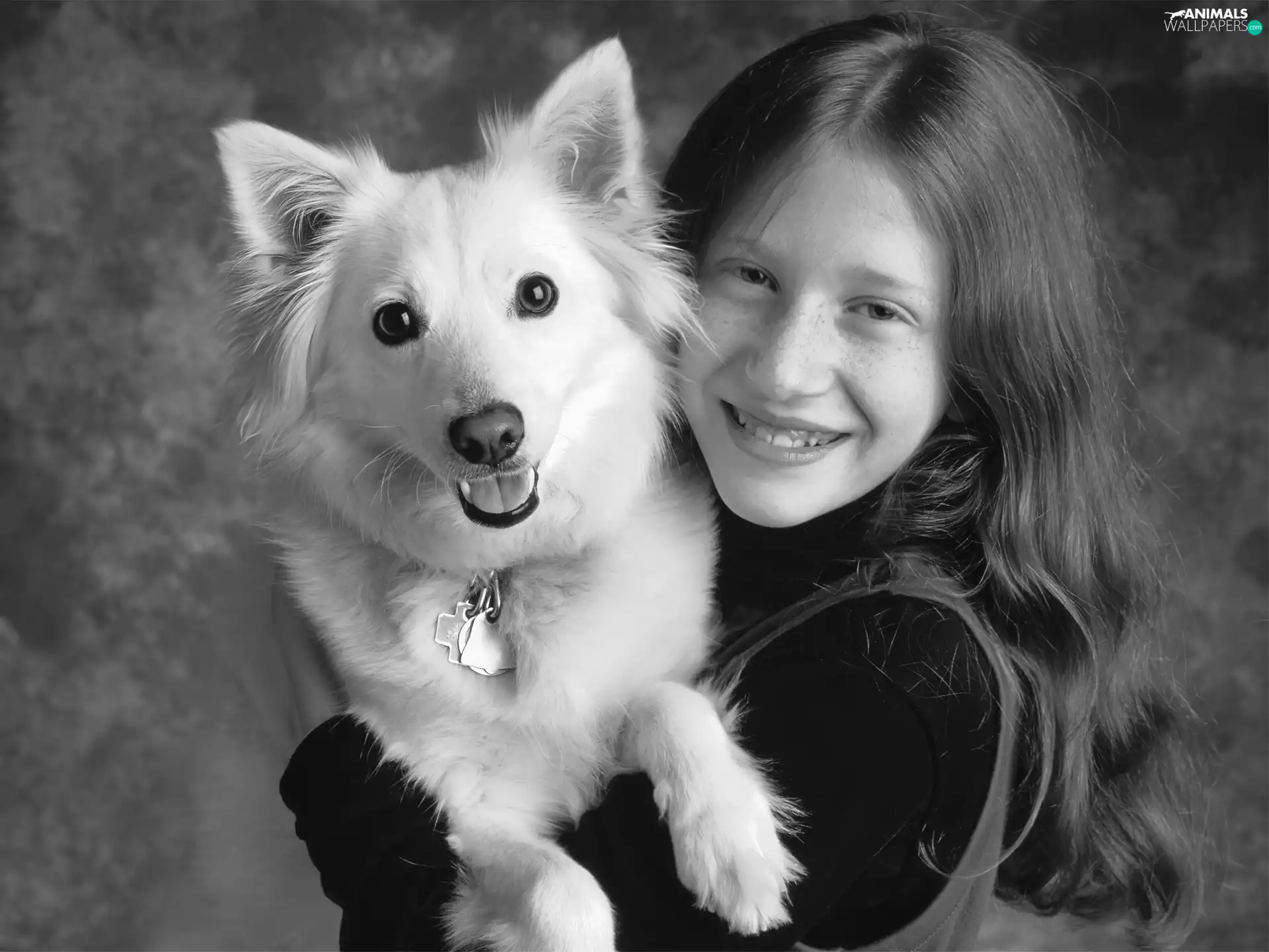 dog, girl, photography, Kid