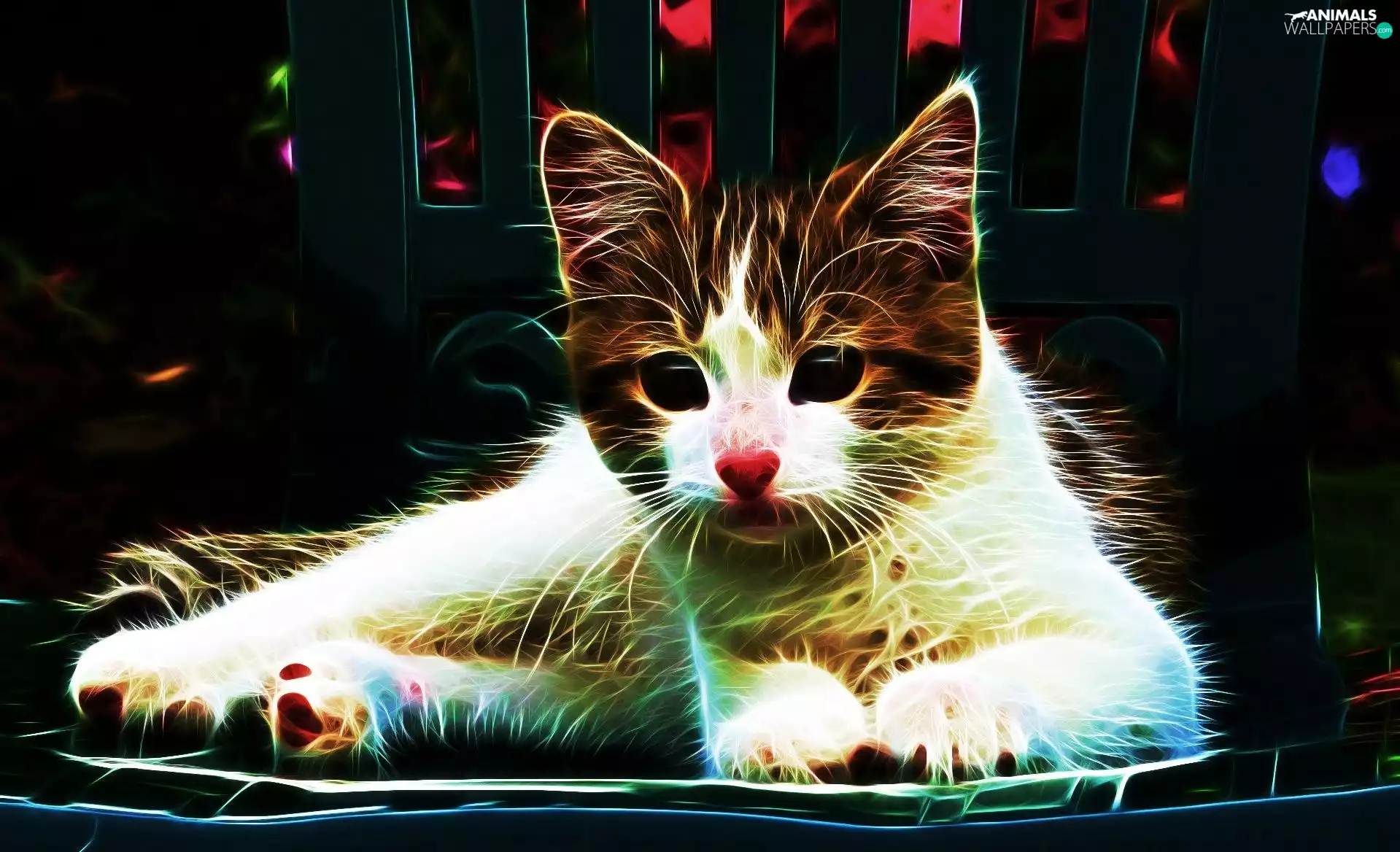 kitten, Fractalius