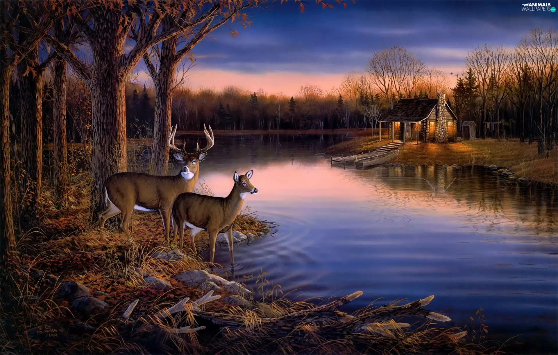 forest, lake, doe, Home, deer