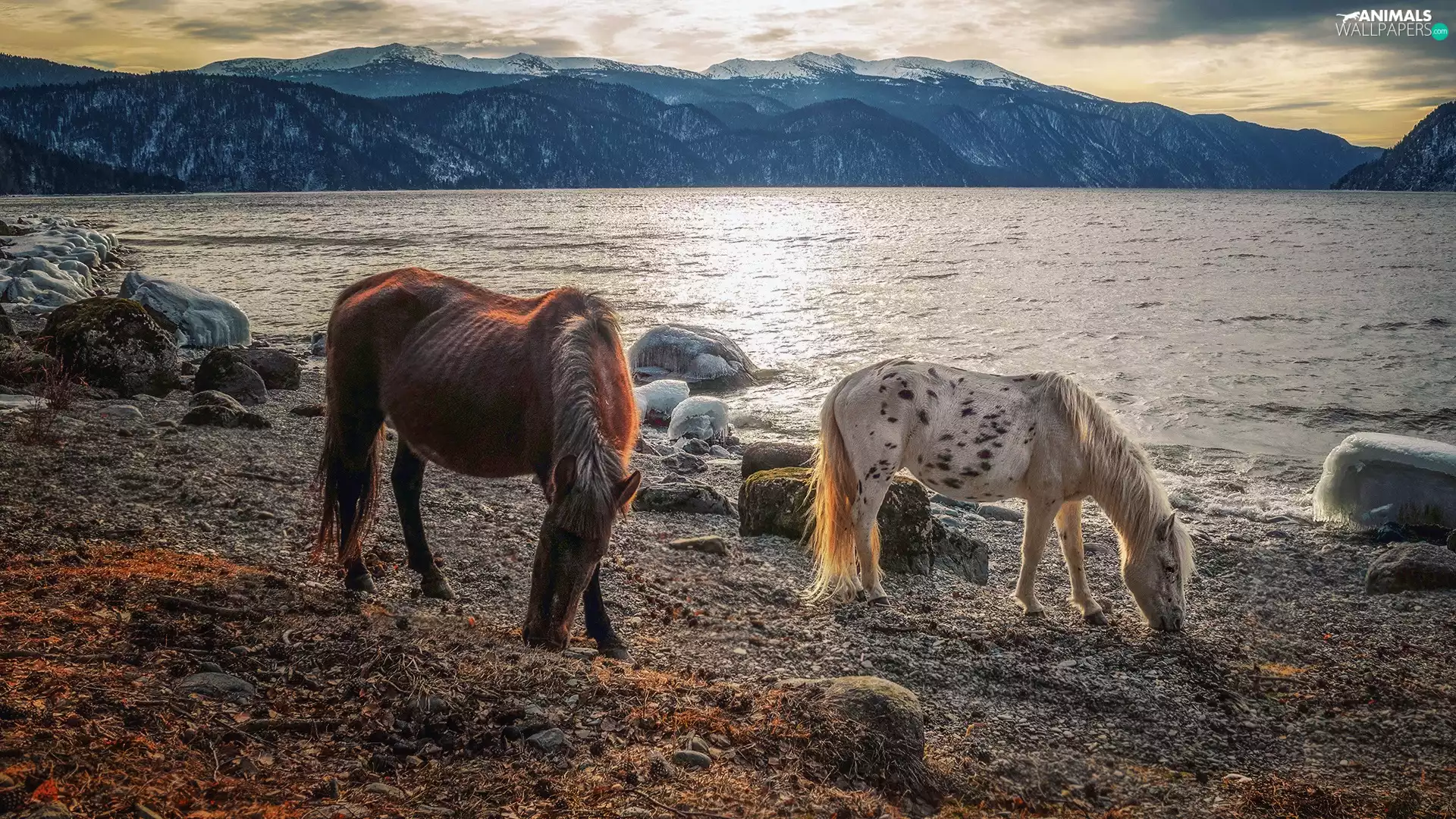 Mountains, bloodstock, Stones, lake