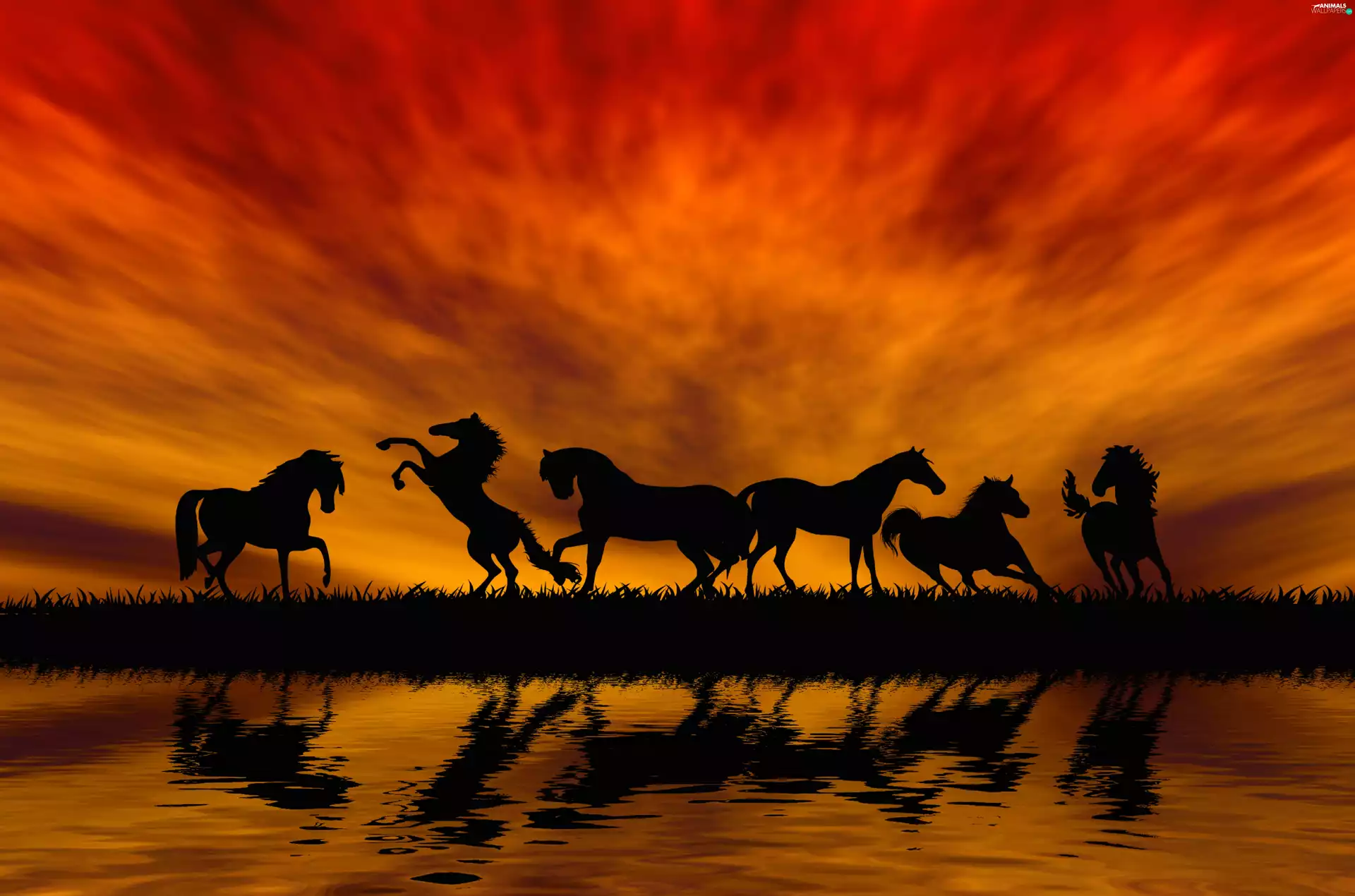 horses, By the lake, sun, herd, west