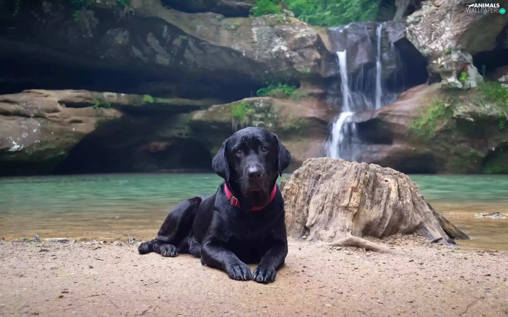 lake, Labrador, waterfall