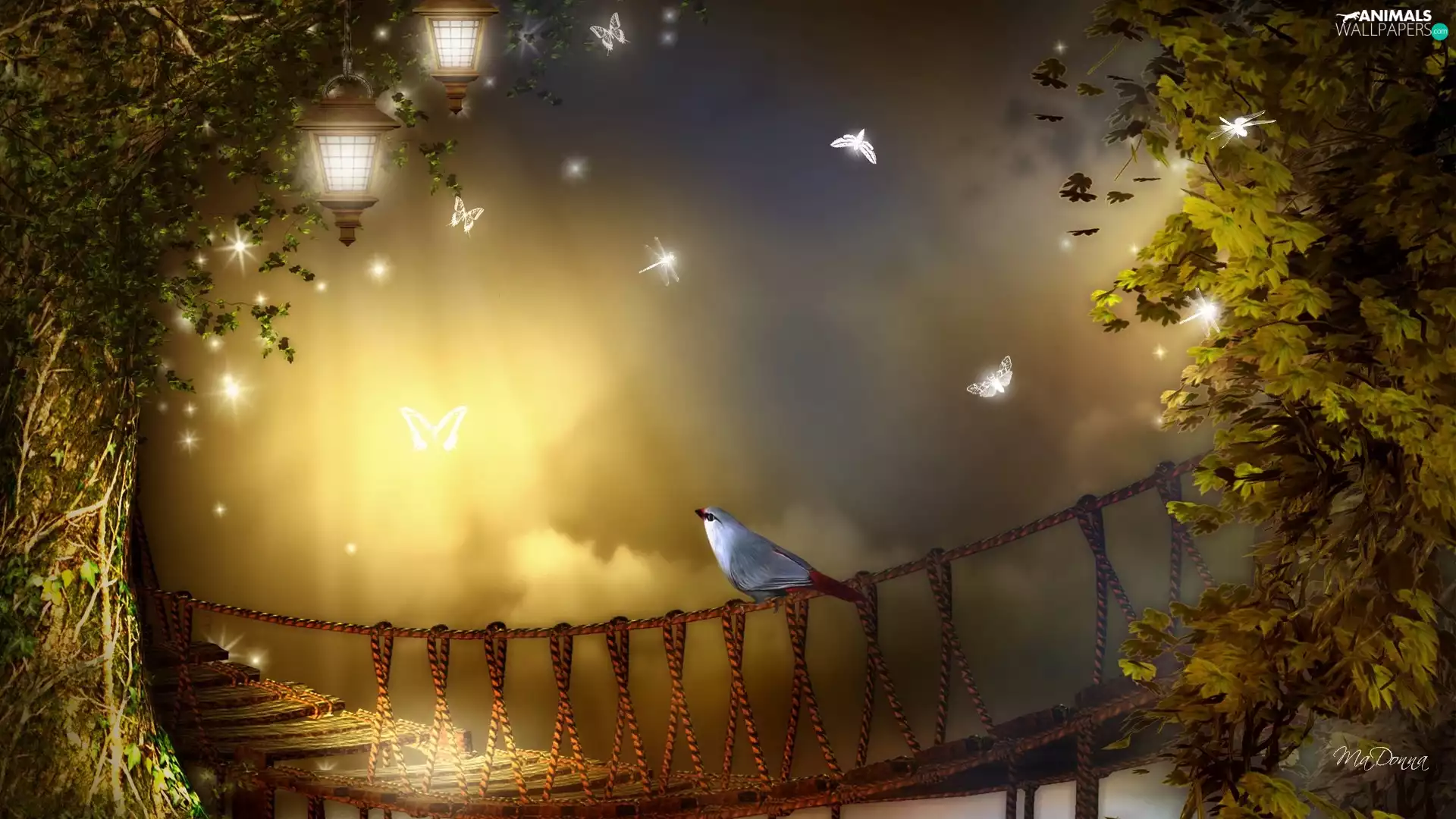 birdies, moths, Night, Lamps