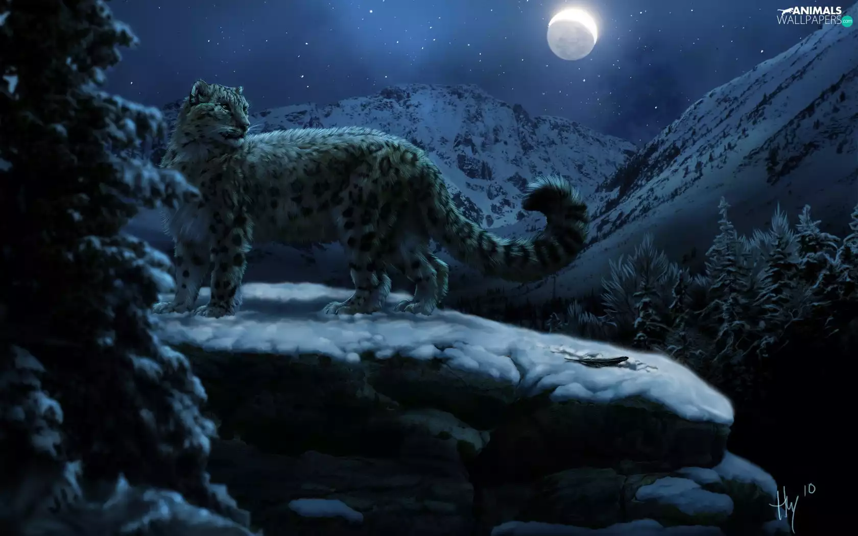 Snow Leopard, Mountains, moon, rocks