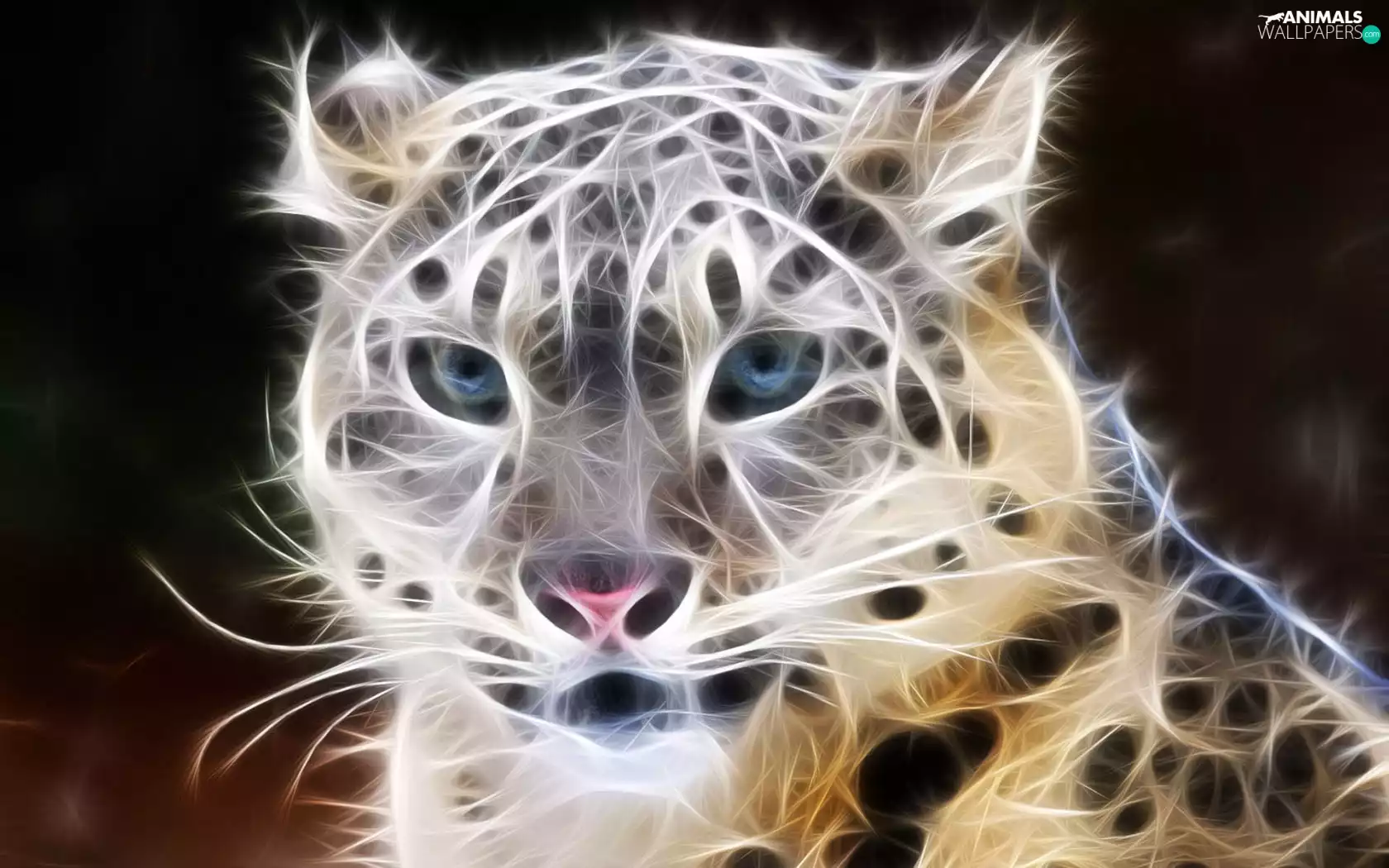 Leopards, 3D