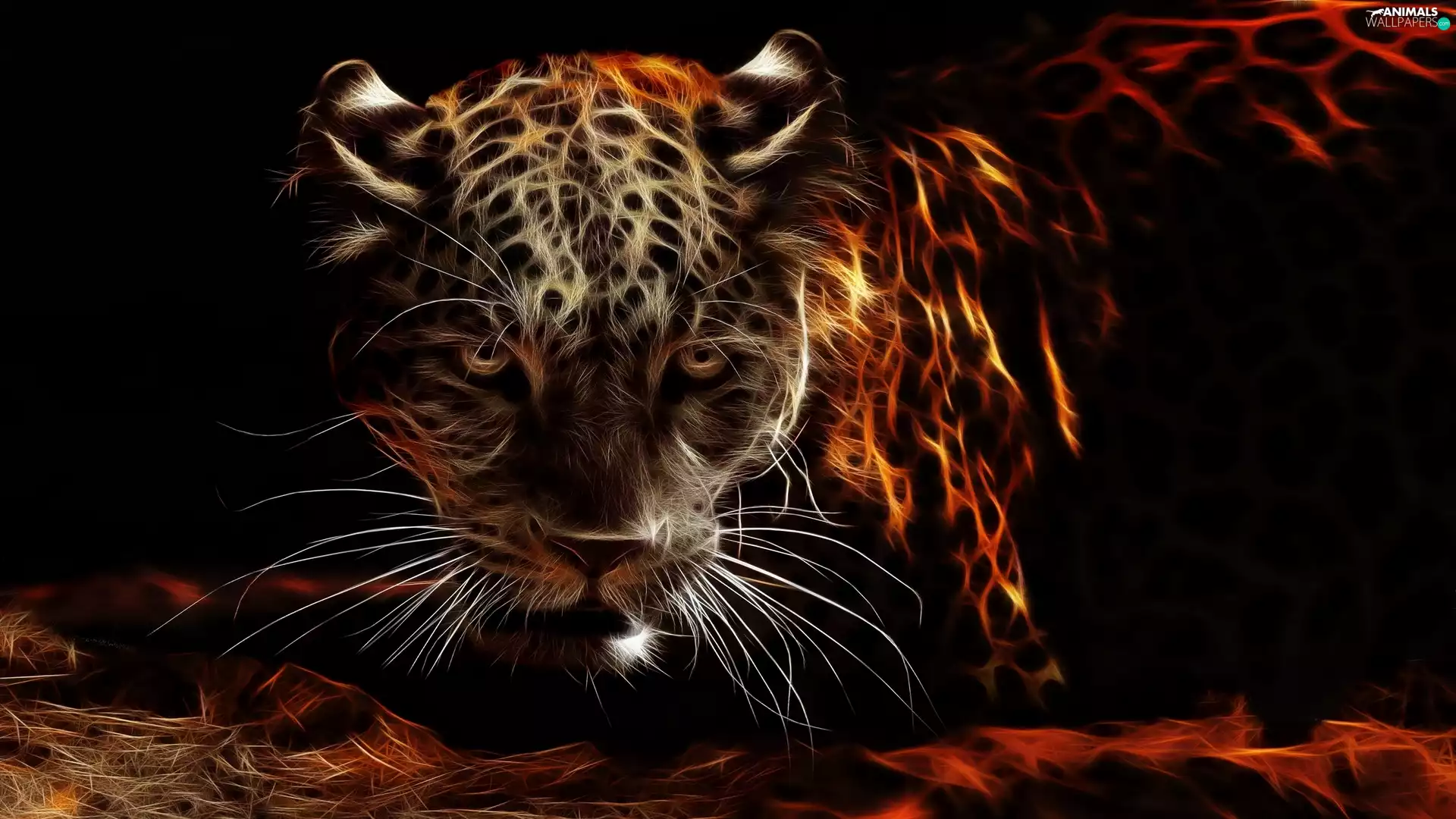 black background, Fractalius, Leopards