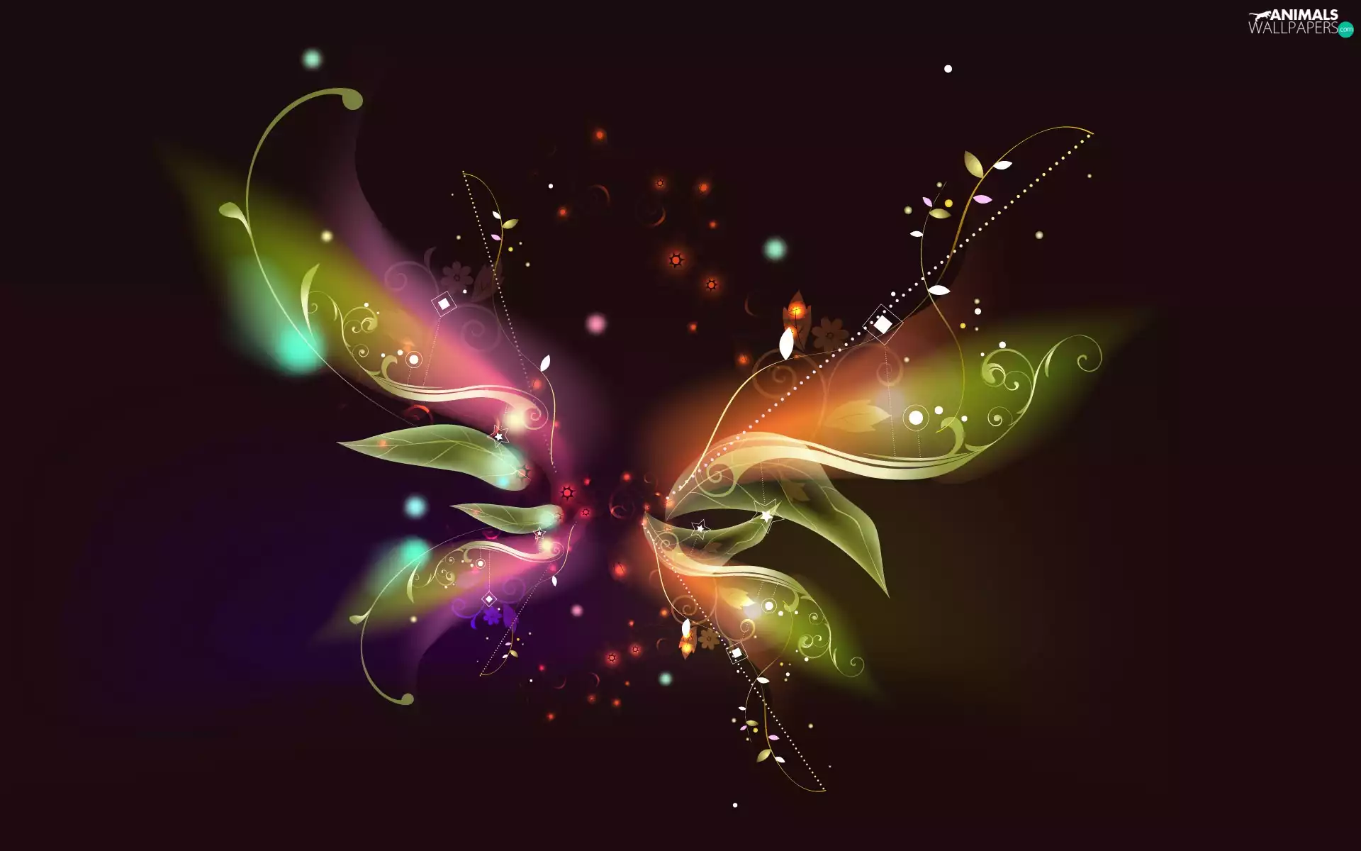 streak, light, abstraction, colors, butterfly