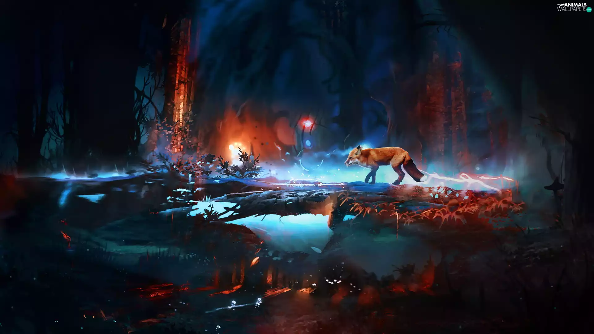 Night, light, Fox, forest, graphics