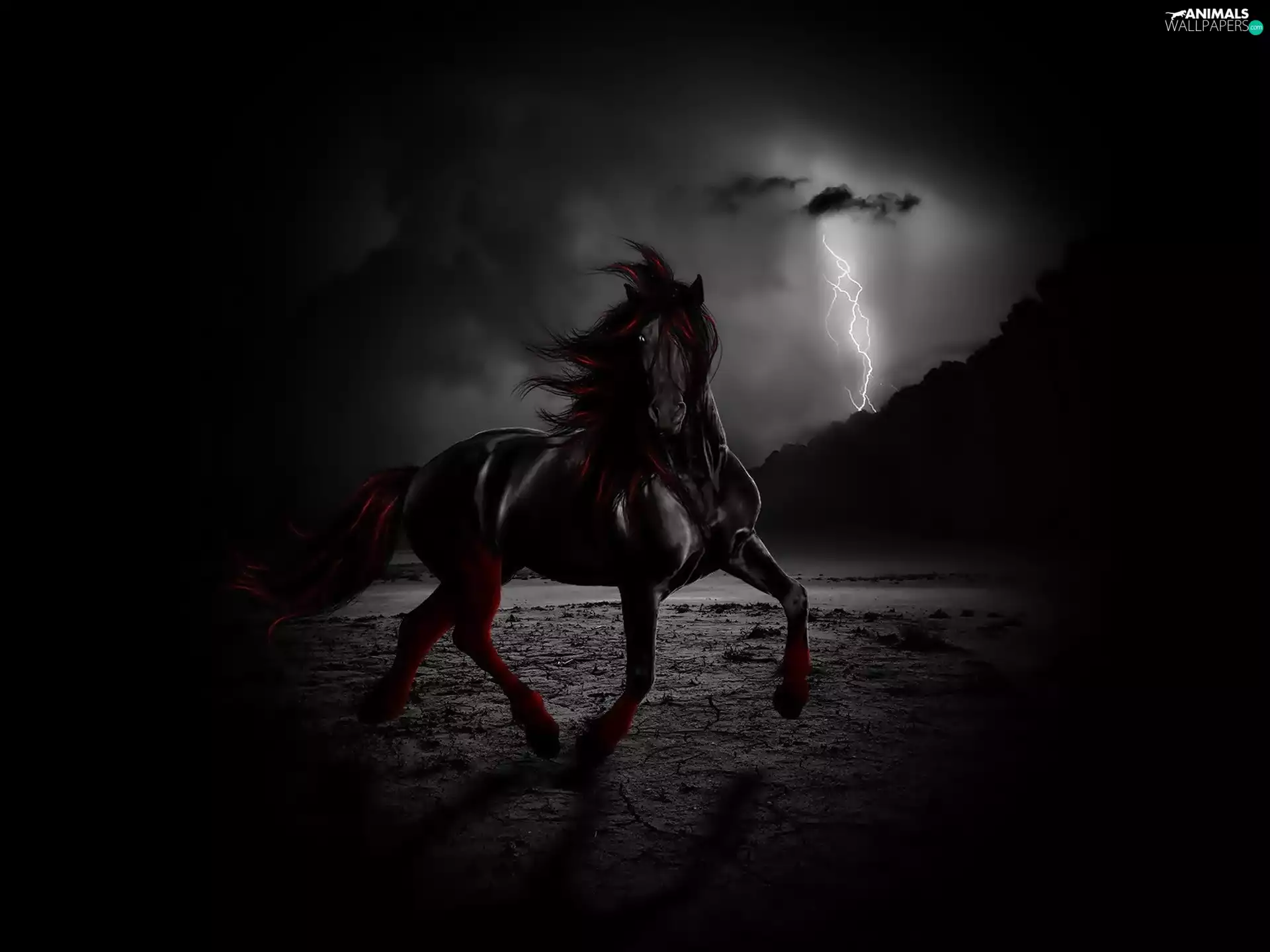 lightning, Black, Horse